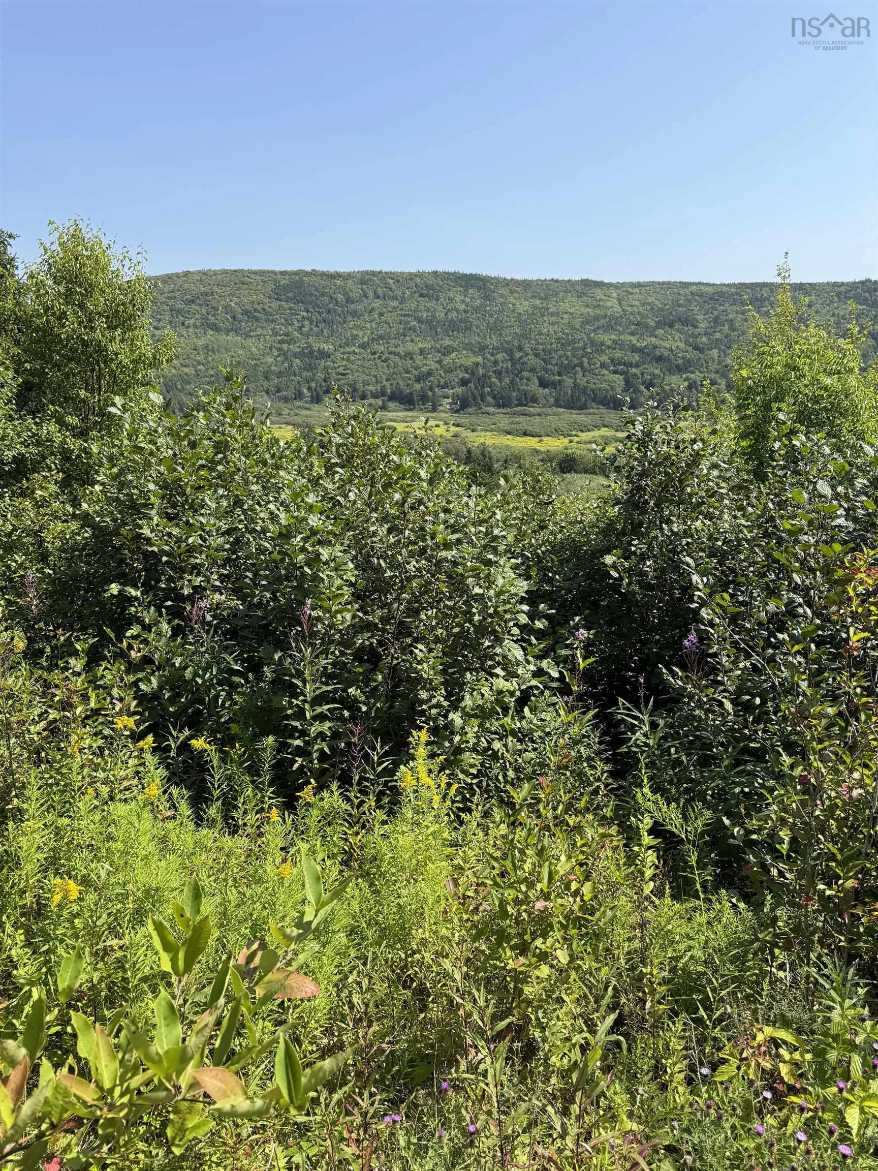Benacadie West Road, Benacadie West, NS B1T 1H2, ,Land,For Sale,Benacadie West,202520162