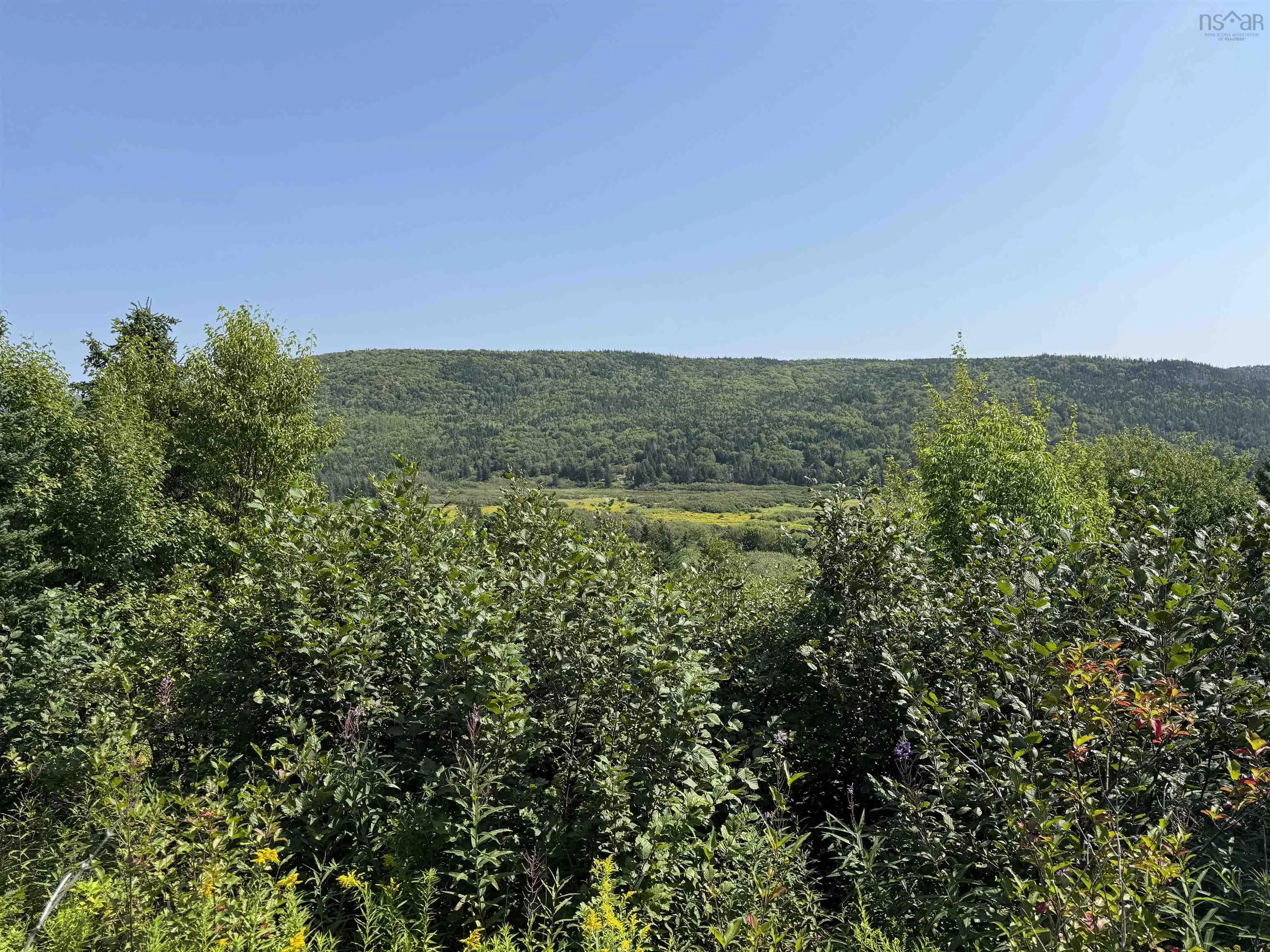 Benacadie West Road, Benacadie West, NS B1T 1H2, ,Land,For Sale,Benacadie West,202520162
