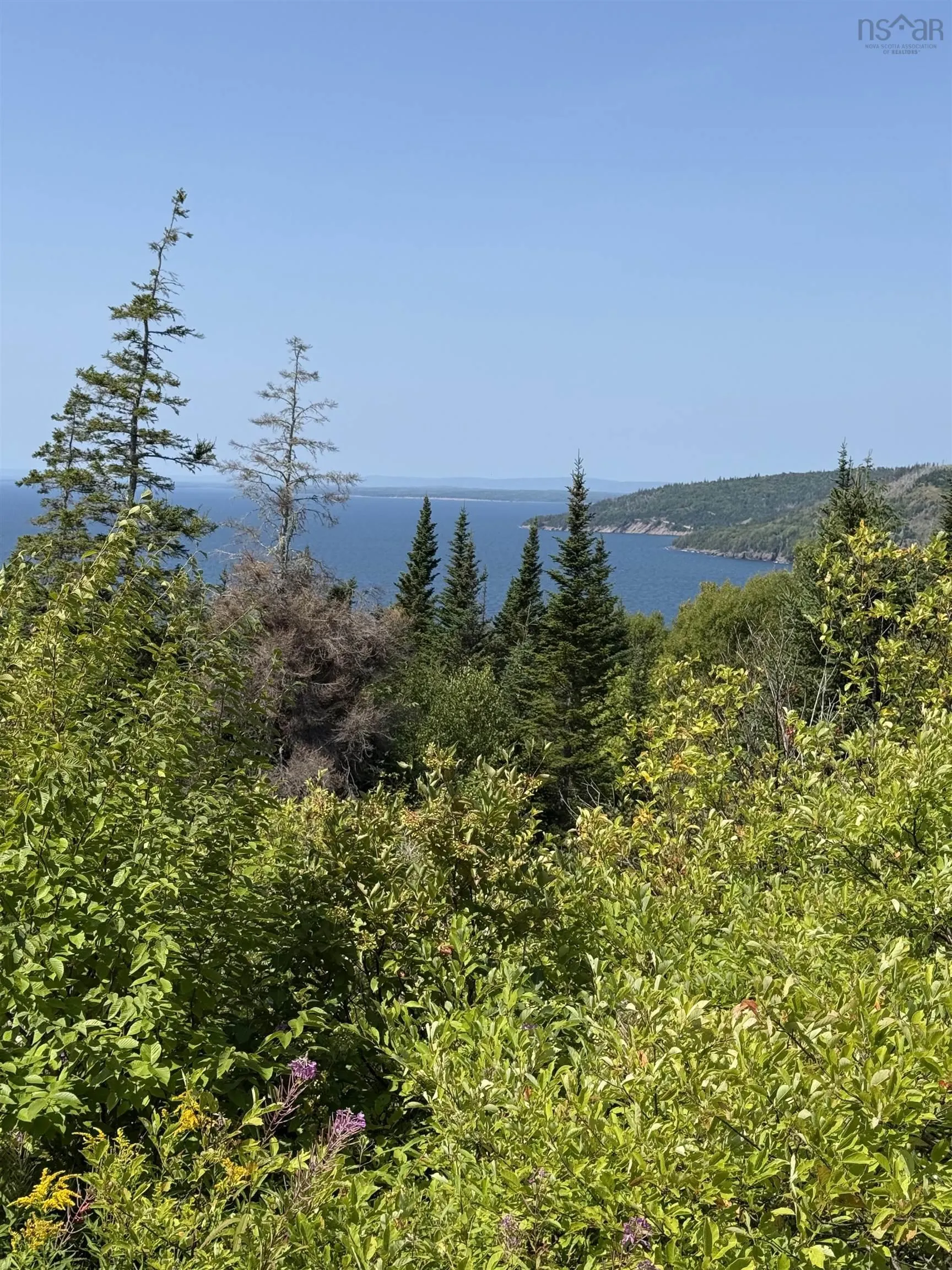 Benacadie West Road, Benacadie West, NS B1T 1H2, ,Land,For Sale,Benacadie West,202520162