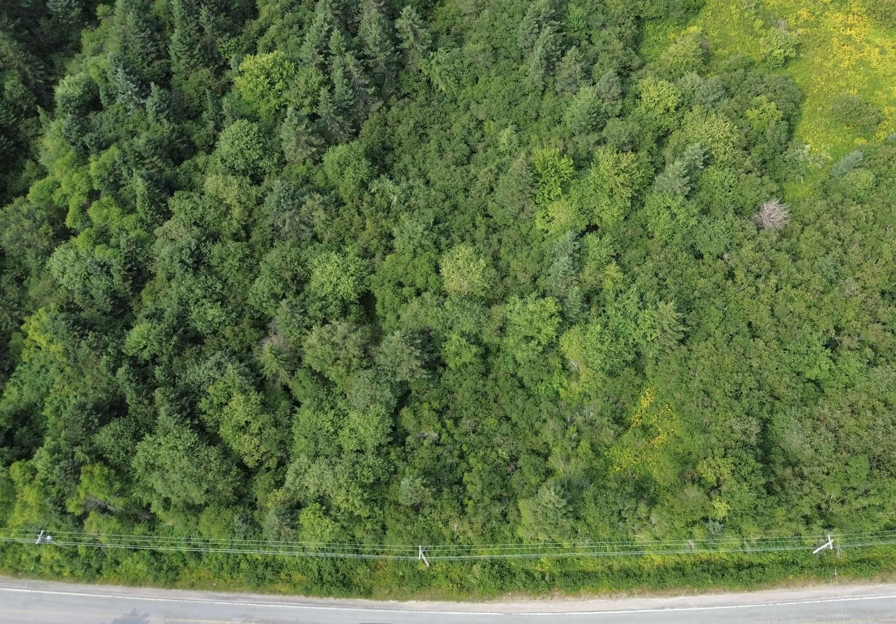 Benacadie West Road, Benacadie West, NS B1T 1H2, ,Land,For Sale,Benacadie West,202520162