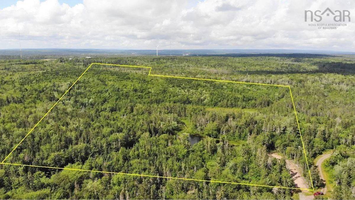 206 Highway, West Arichat Ns B0e 1a0, ,Land,For Sale,206,202316445