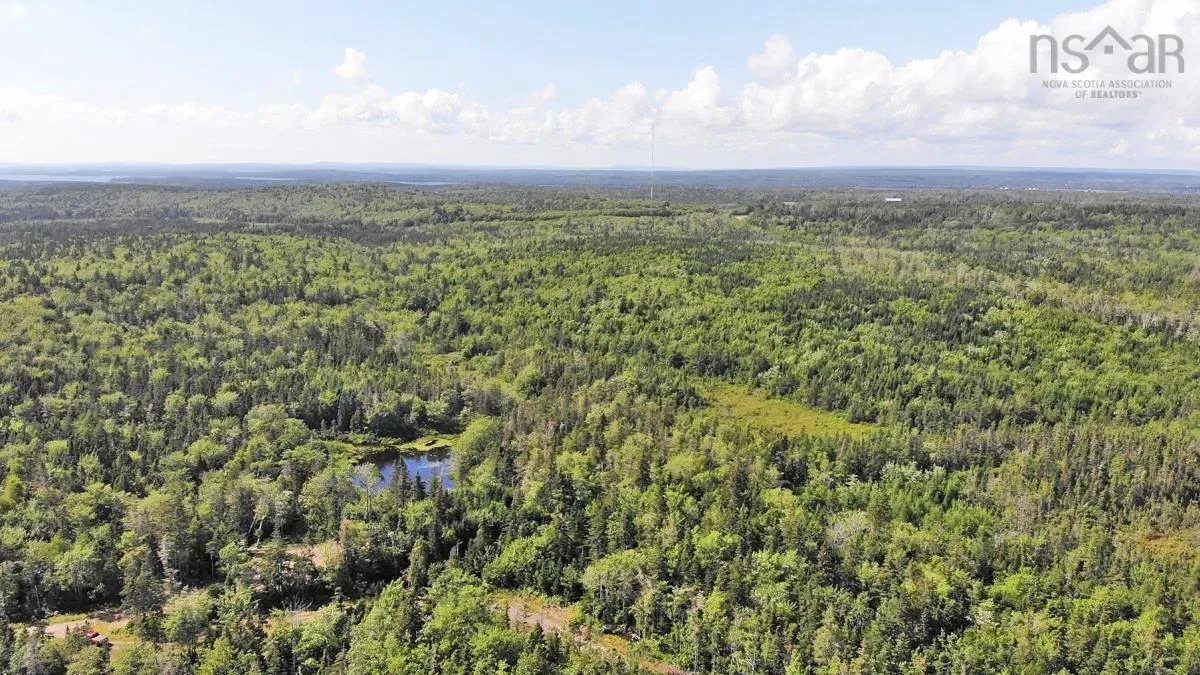 206 Highway, West Arichat Ns B0e 1a0, ,Land,For Sale,206,202316445