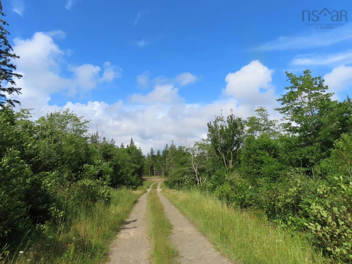 206 Highway, West Arichat Ns B0e 1a0, ,Land,For Sale,206,202316445