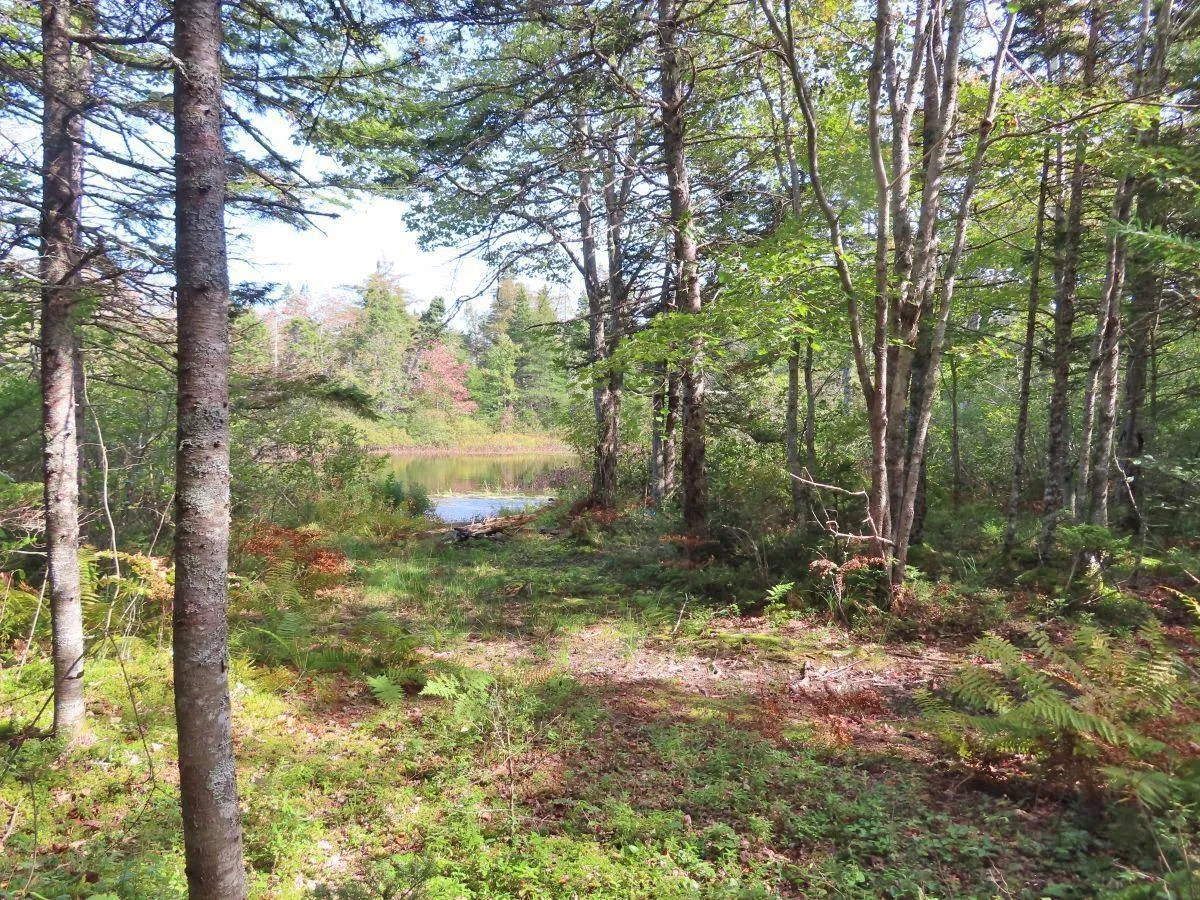206 Highway, West Arichat Ns B0e 1a0, ,Land,For Sale,206,202316445