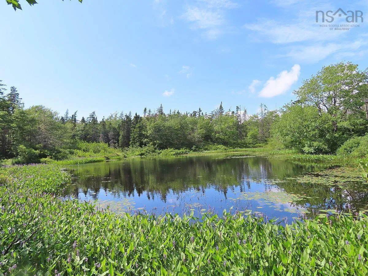 206 Highway, West Arichat Ns B0e 1a0, ,Land,For Sale,206,202316445