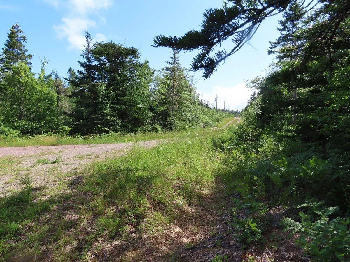 206 Highway, West Arichat Ns B0e 1a0, ,Land,For Sale,206,202316445