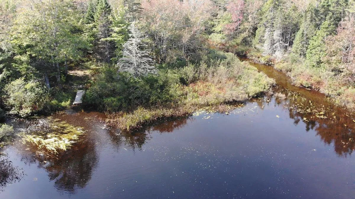 206 Highway, West Arichat Ns B0e 1a0, ,Land,For Sale,206,202316445