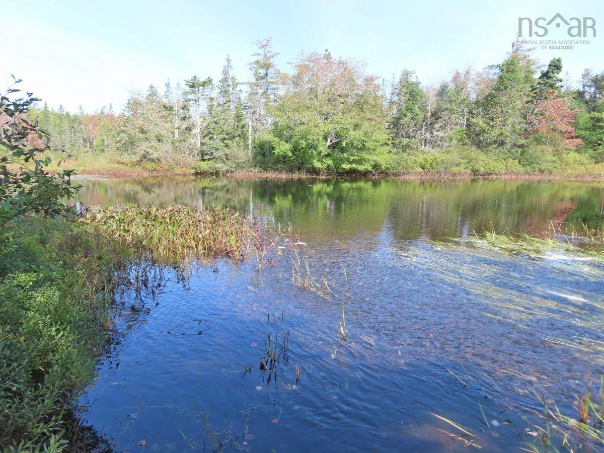 206 Highway, West Arichat Ns B0e 1a0, ,Land,For Sale,206,202316445