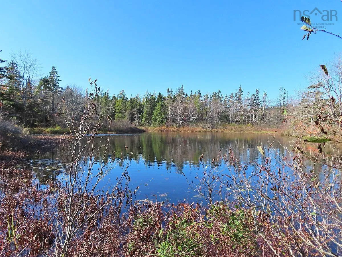 206 Highway, West Arichat Ns B0e 1a0, ,Land,For Sale,206,202316445