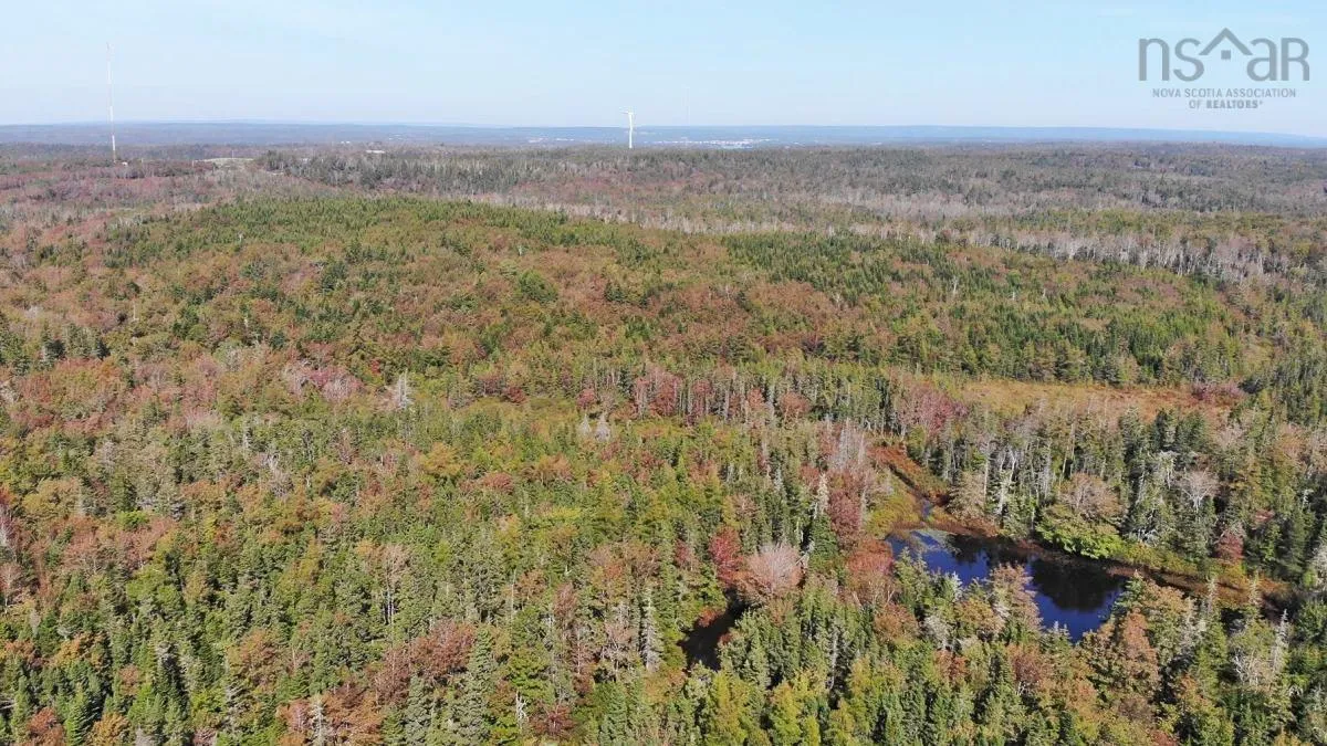 206 Highway, West Arichat Ns B0e 1a0, ,Land,For Sale,206,202316445
