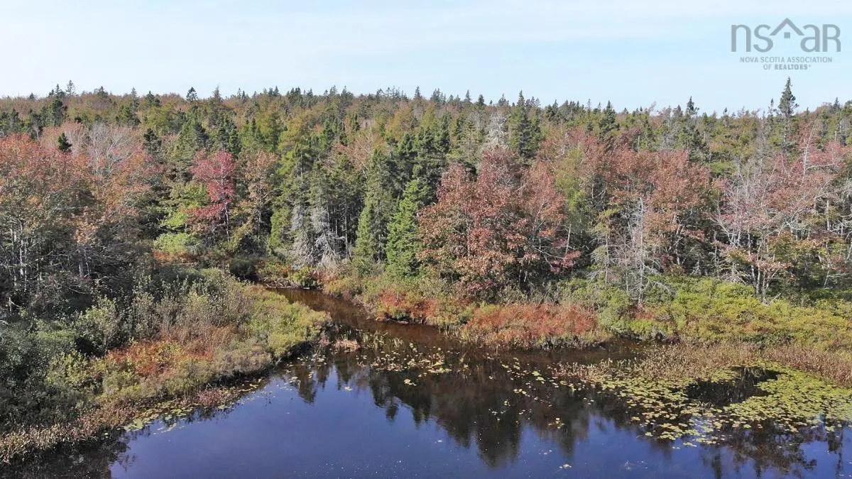 206 Highway, West Arichat Ns B0e 1a0, ,Land,For Sale,206,202316445