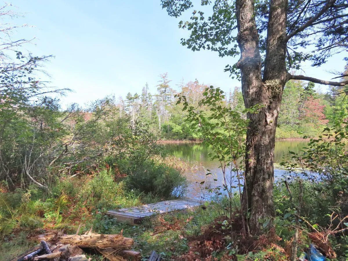 206 Highway, West Arichat Ns B0e 1a0, ,Land,For Sale,206,202316445