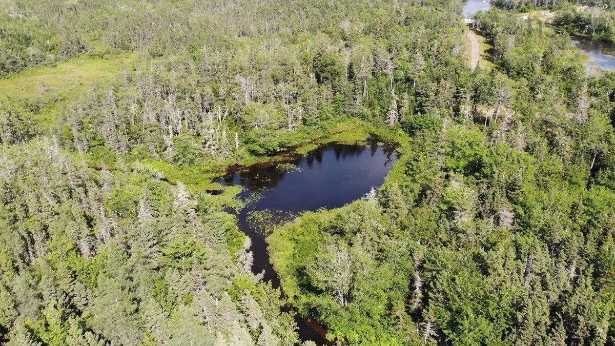 206 Highway, West Arichat Ns B0e 1a0, ,Land,For Sale,206,202316445