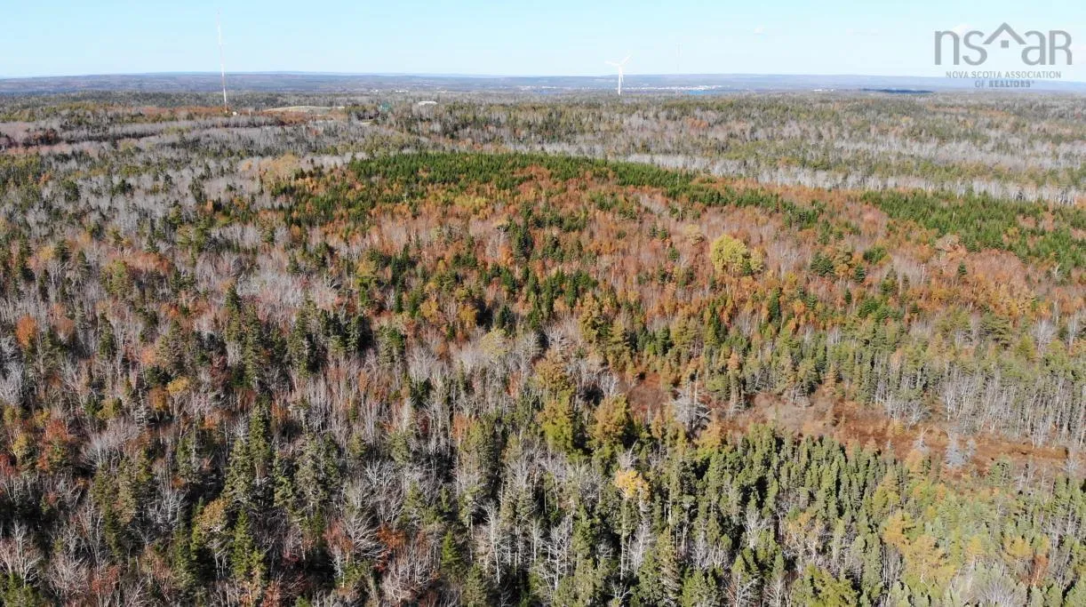 206 Highway, West Arichat Ns B0e 1a0, ,Land,For Sale,206,202316445
