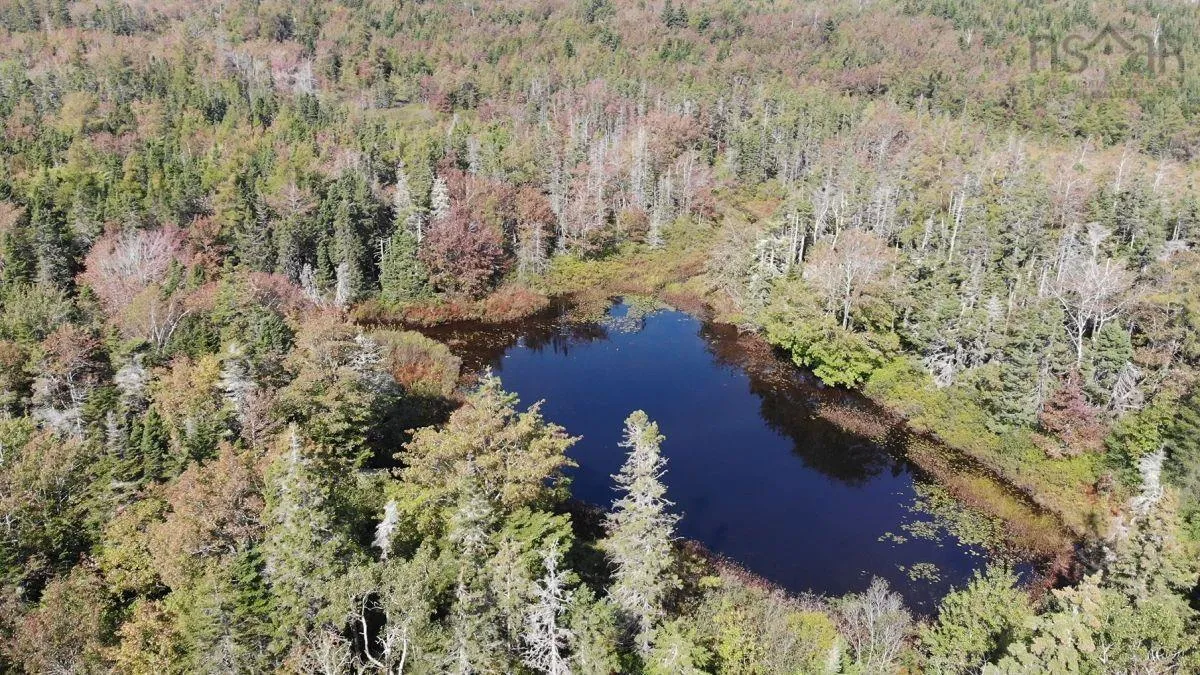 206 Highway, West Arichat Ns B0e 1a0, ,Land,For Sale,206,202316445