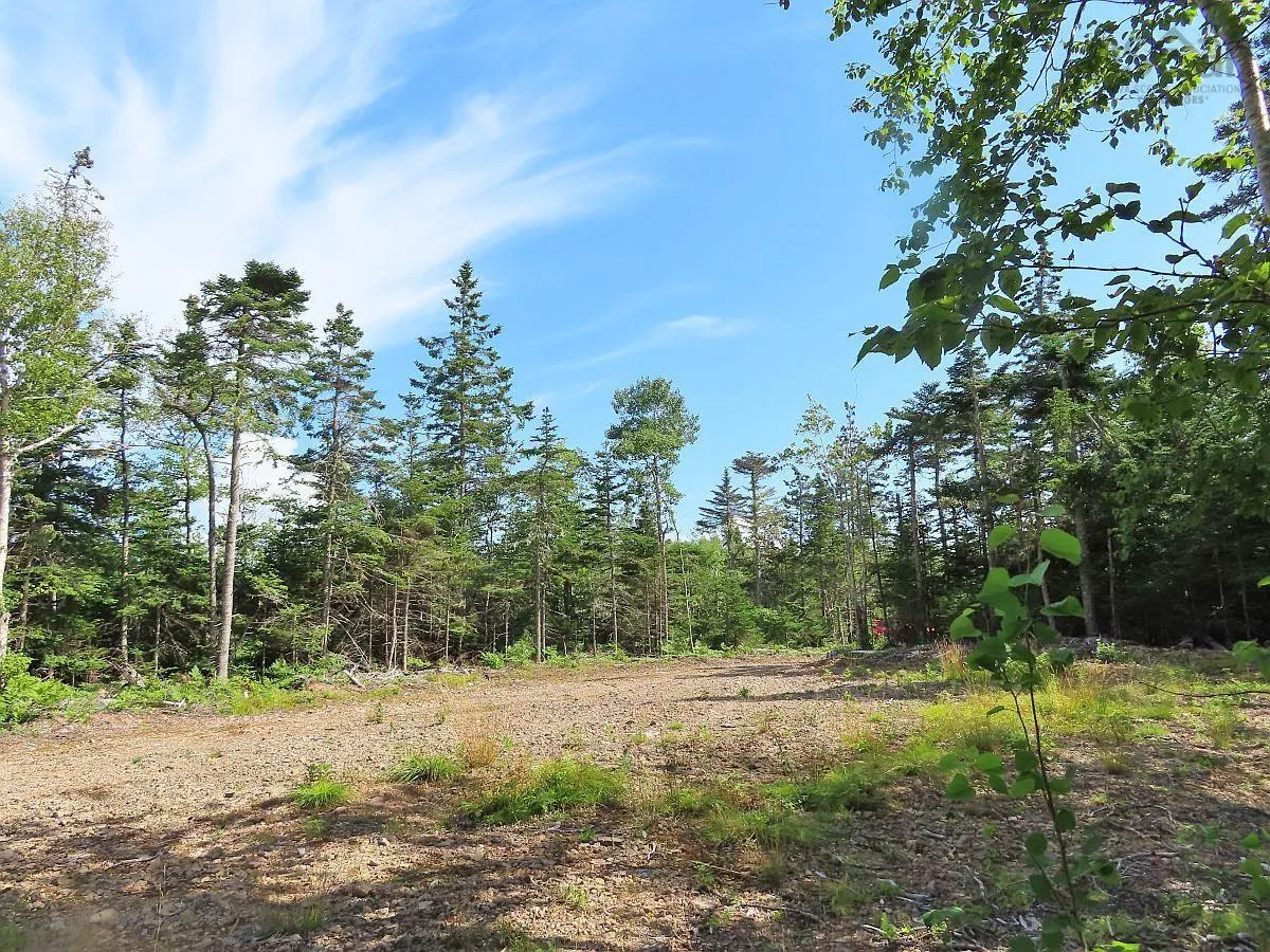 206 Highway, West Arichat Ns B0e 1a0, ,Land,For Sale,206,202316445