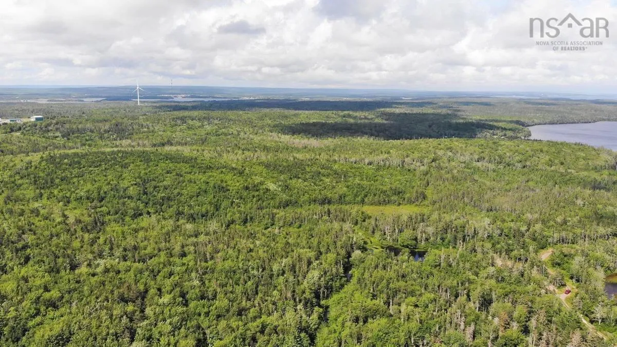 206 Highway, West Arichat Ns B0e 1a0, ,Land,For Sale,206,202316445