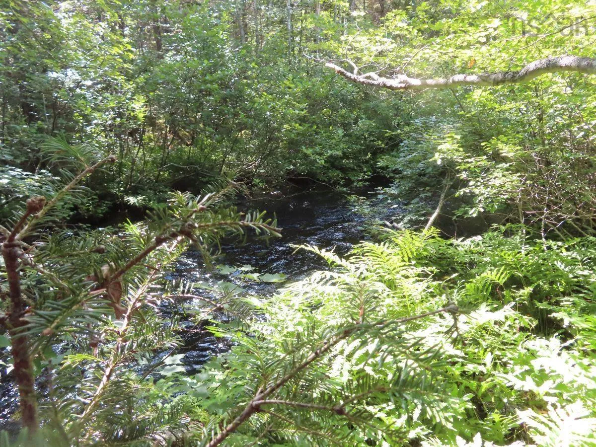 206 Highway, West Arichat Ns B0e 1a0, ,Land,For Sale,206,202316445