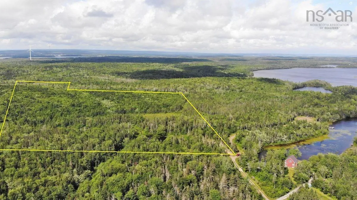 206 Highway, West Arichat Ns B0e 1a0, ,Land,For Sale,206,202316445