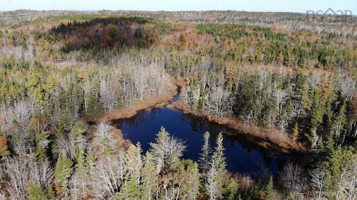 206 Highway, West Arichat Ns B0e 1a0, ,Land,For Sale,206,202316445