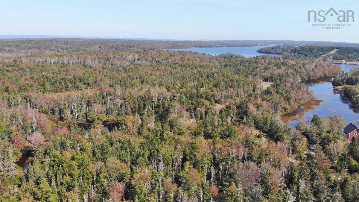 206 Highway, West Arichat Ns B0e 1a0, ,Land,For Sale,206,202316445