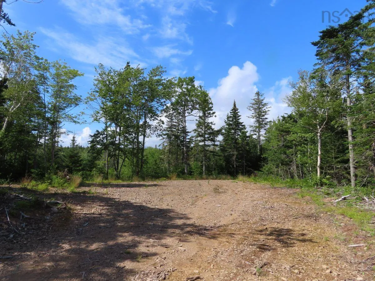 206 Highway, West Arichat Ns B0e 1a0, ,Land,For Sale,206,202316445