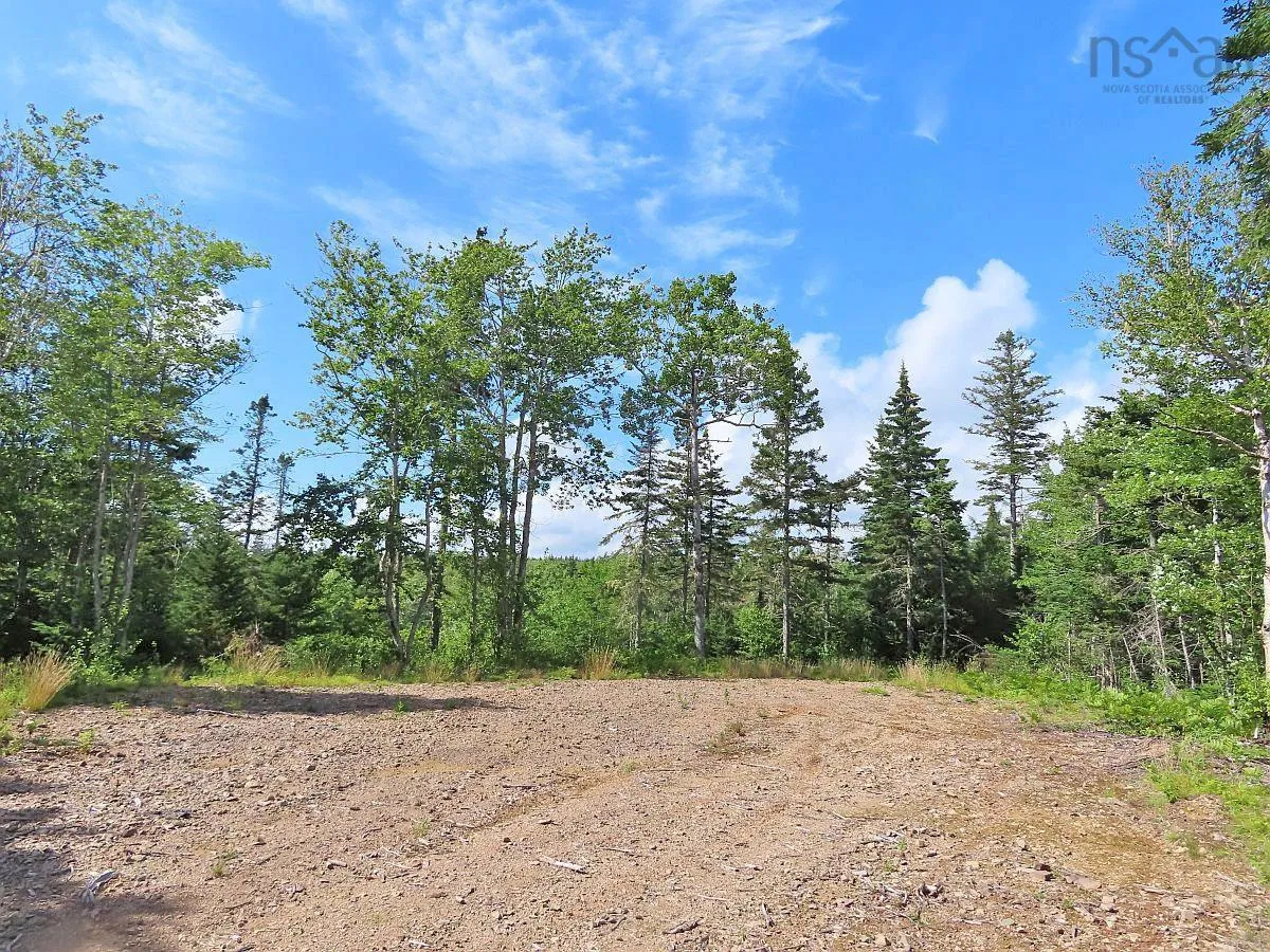 206 Highway, West Arichat Ns B0e 1a0, ,Land,For Sale,206,202316445
