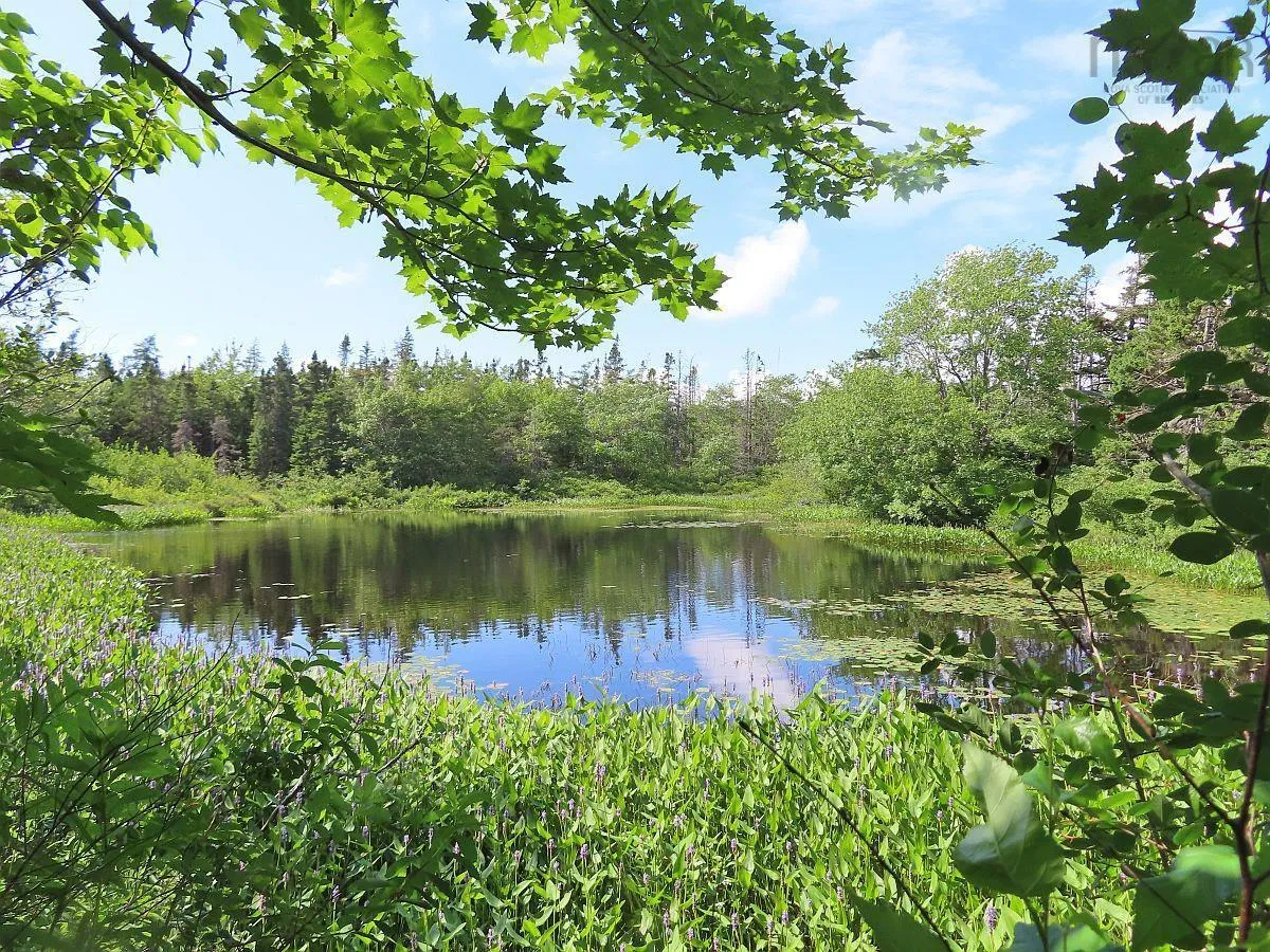 206 Highway, West Arichat Ns B0e 1a0, ,Land,For Sale,206,202316445