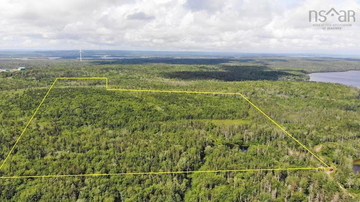 206 Highway, West Arichat Ns B0e 1a0, ,Land,For Sale,206,202316445
