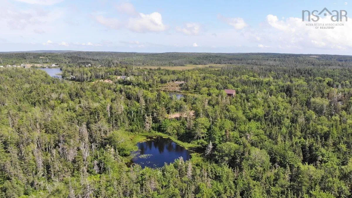 206 Highway, West Arichat Ns B0e 1a0, ,Land,For Sale,206,202316445