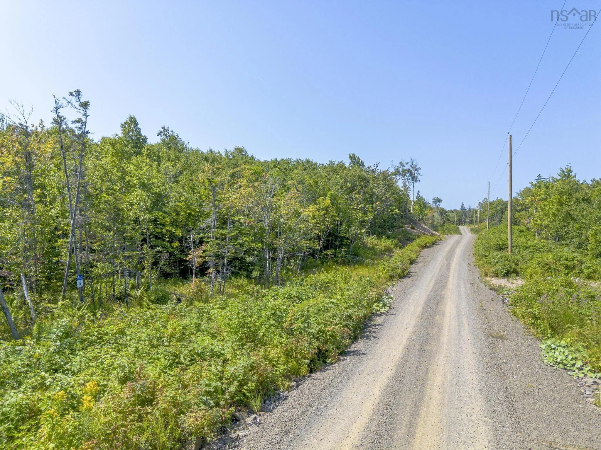Pelton Mountain Road Lot 19, Chipman Brook, NS B0P 1J0, ,Land,For Sale,Pelton Mountain,202520956