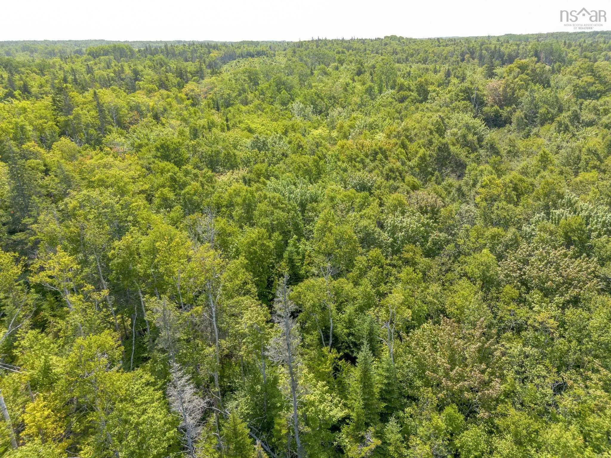Pelton Mountain Road Lot 19, Chipman Brook, NS B0P 1J0, ,Land,For Sale,Pelton Mountain,202520956