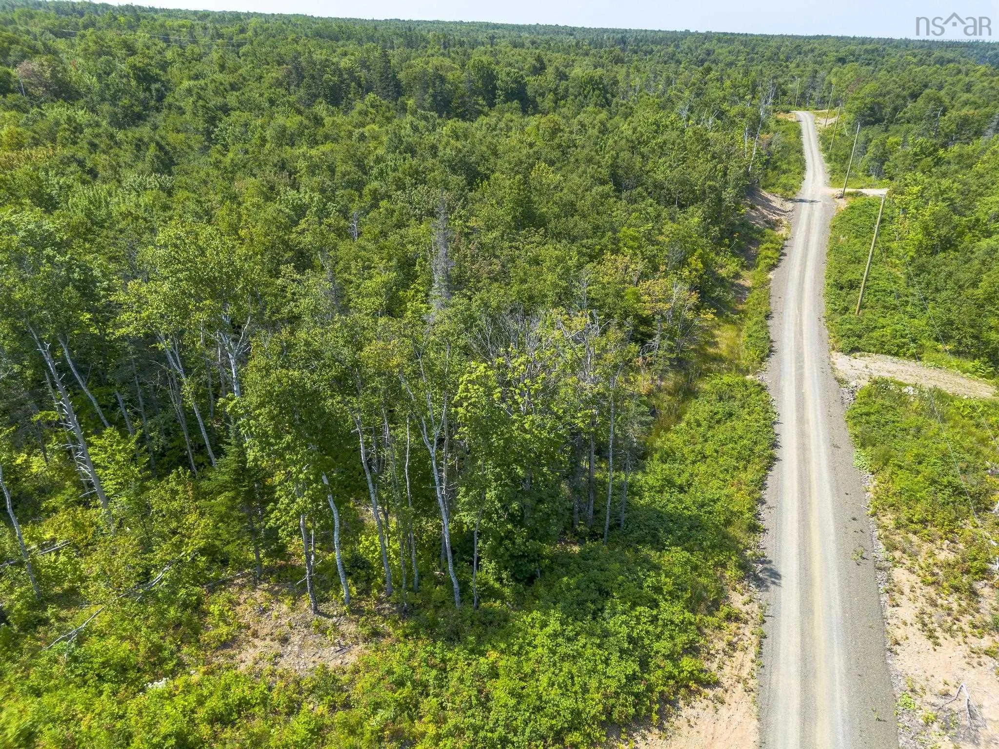 Pelton Mountain Road Lot 19, Chipman Brook, NS B0P 1J0, ,Land,For Sale,Pelton Mountain,202520956