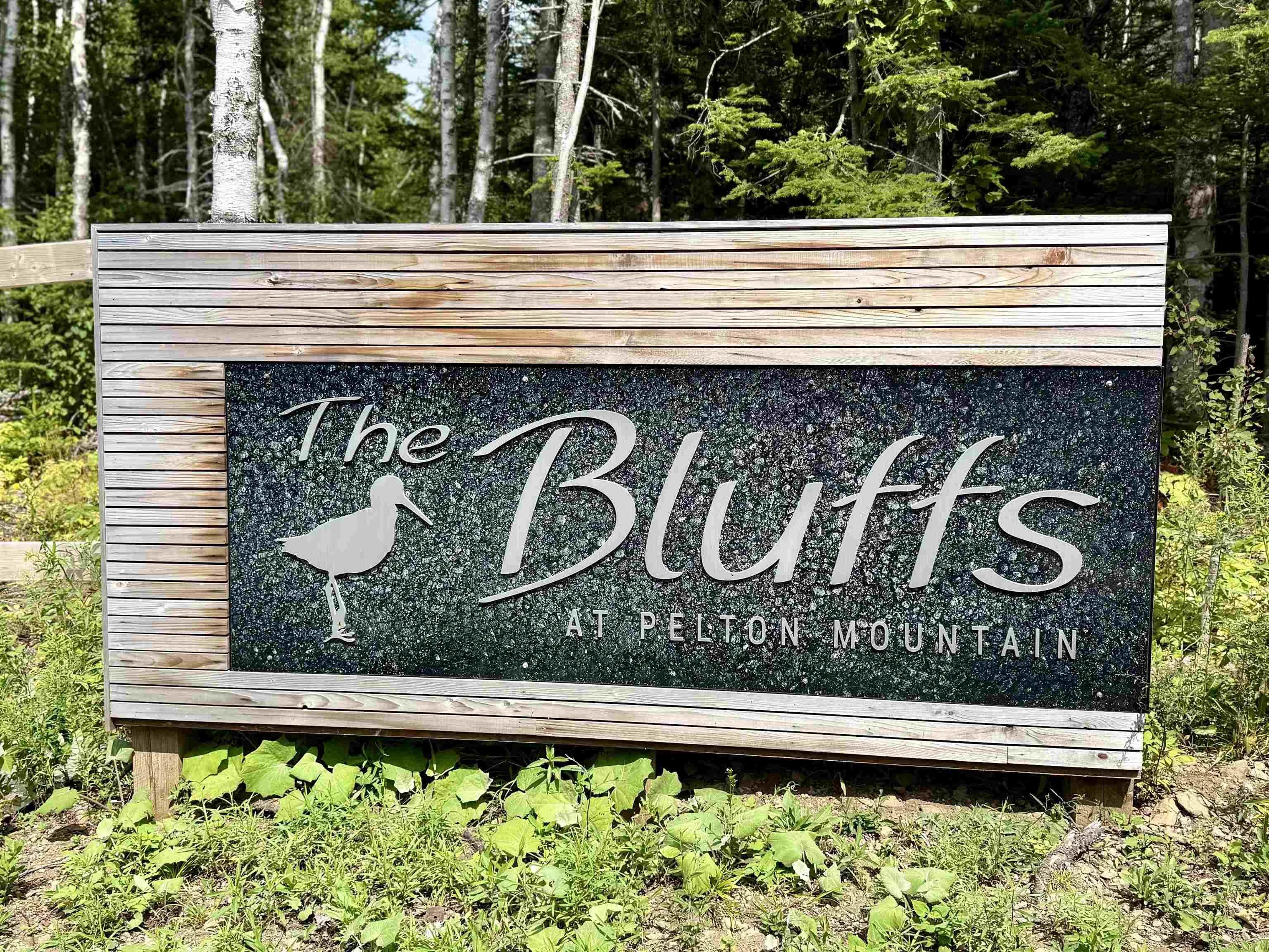 Pelton Mountain Road Lot 19, Chipman Brook, NS B0P 1J0, ,Land,For Sale,Pelton Mountain,202520956