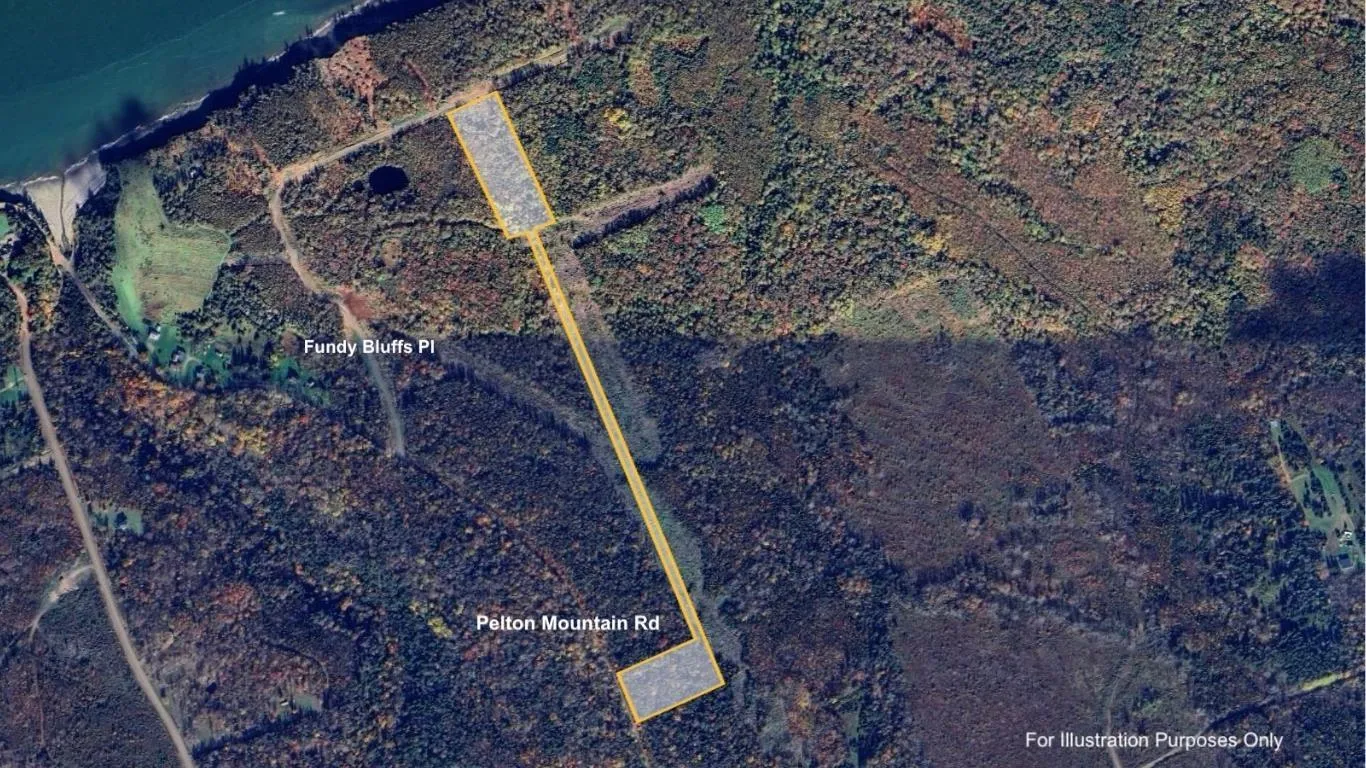 Pelton Mountain Road Lot 19, Chipman Brook, NS B0P 1J0, ,Land,For Sale,Pelton Mountain,202520956