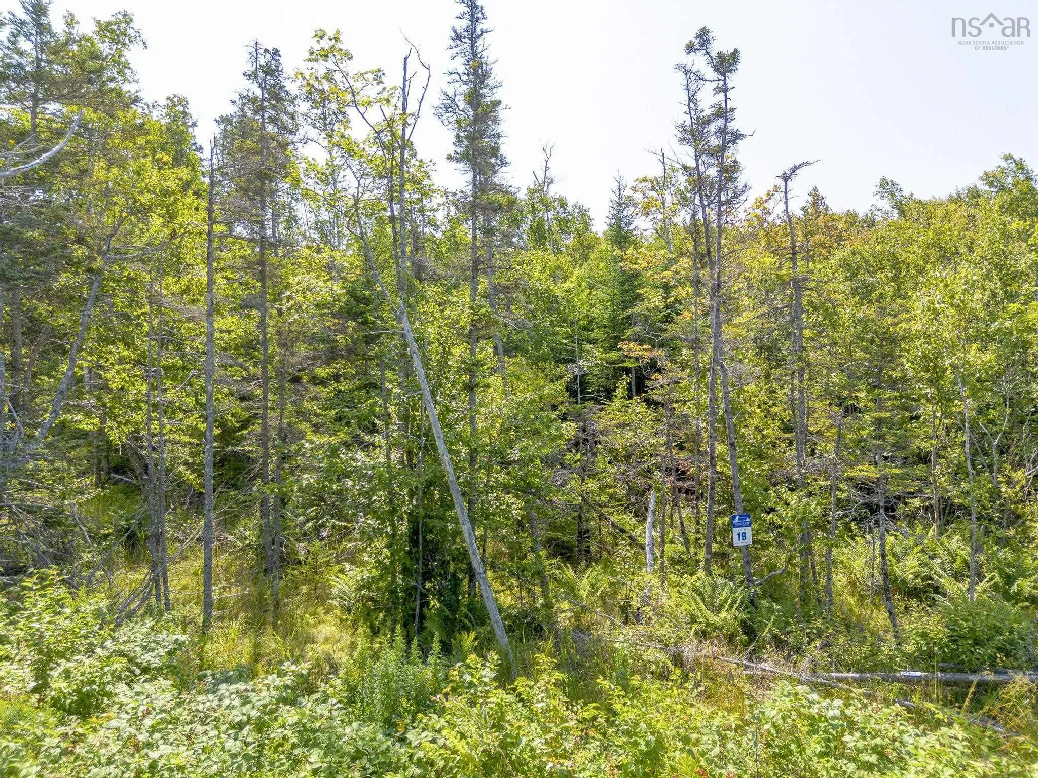 Pelton Mountain Road Lot 19, Chipman Brook, NS B0P 1J0, ,Land,For Sale,Pelton Mountain,202520956