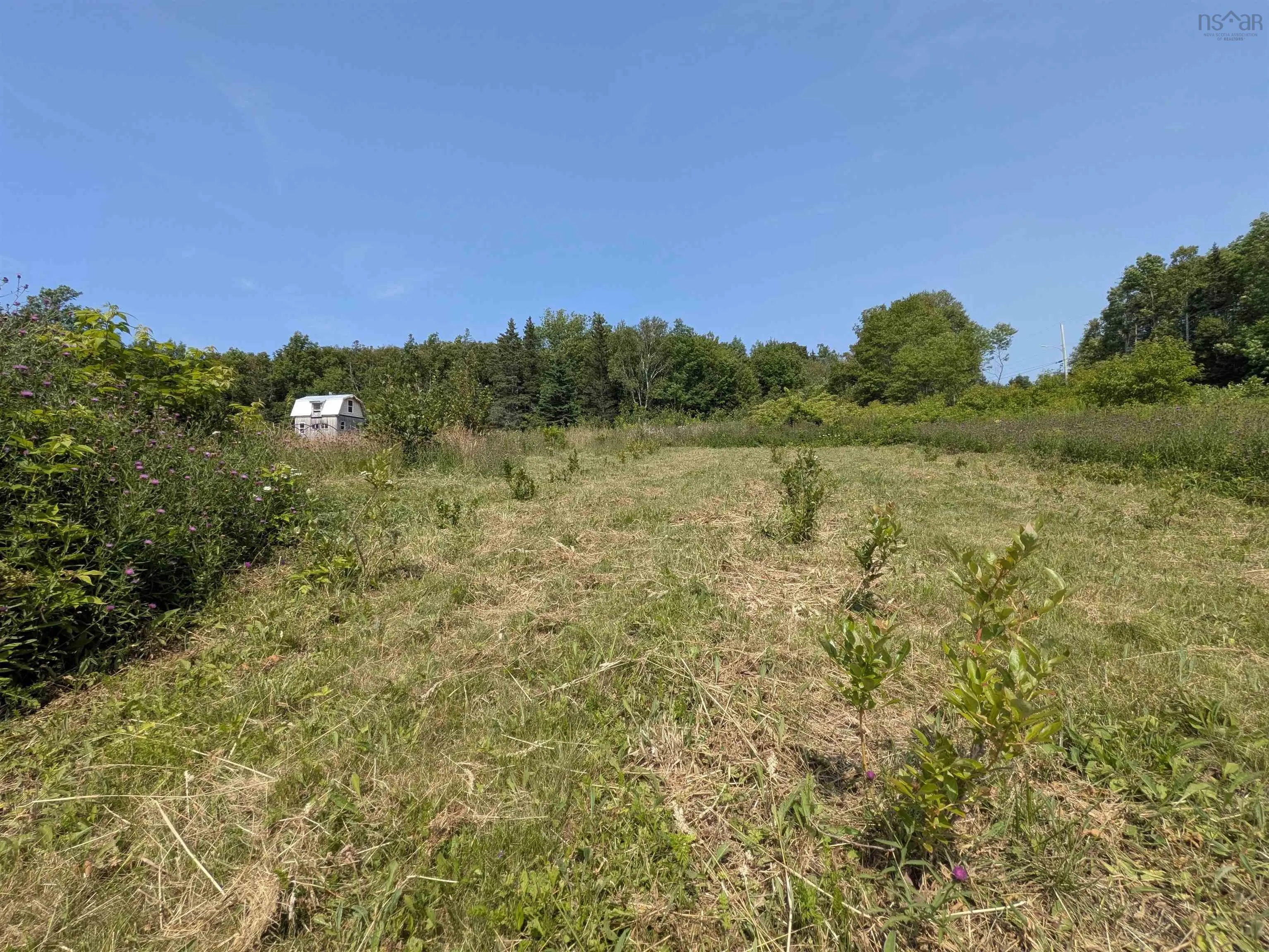 8387 St Croix Cove Road, Hampton, NS B0S 1L0, ,Land,For Sale,St Croix Cove,202517507