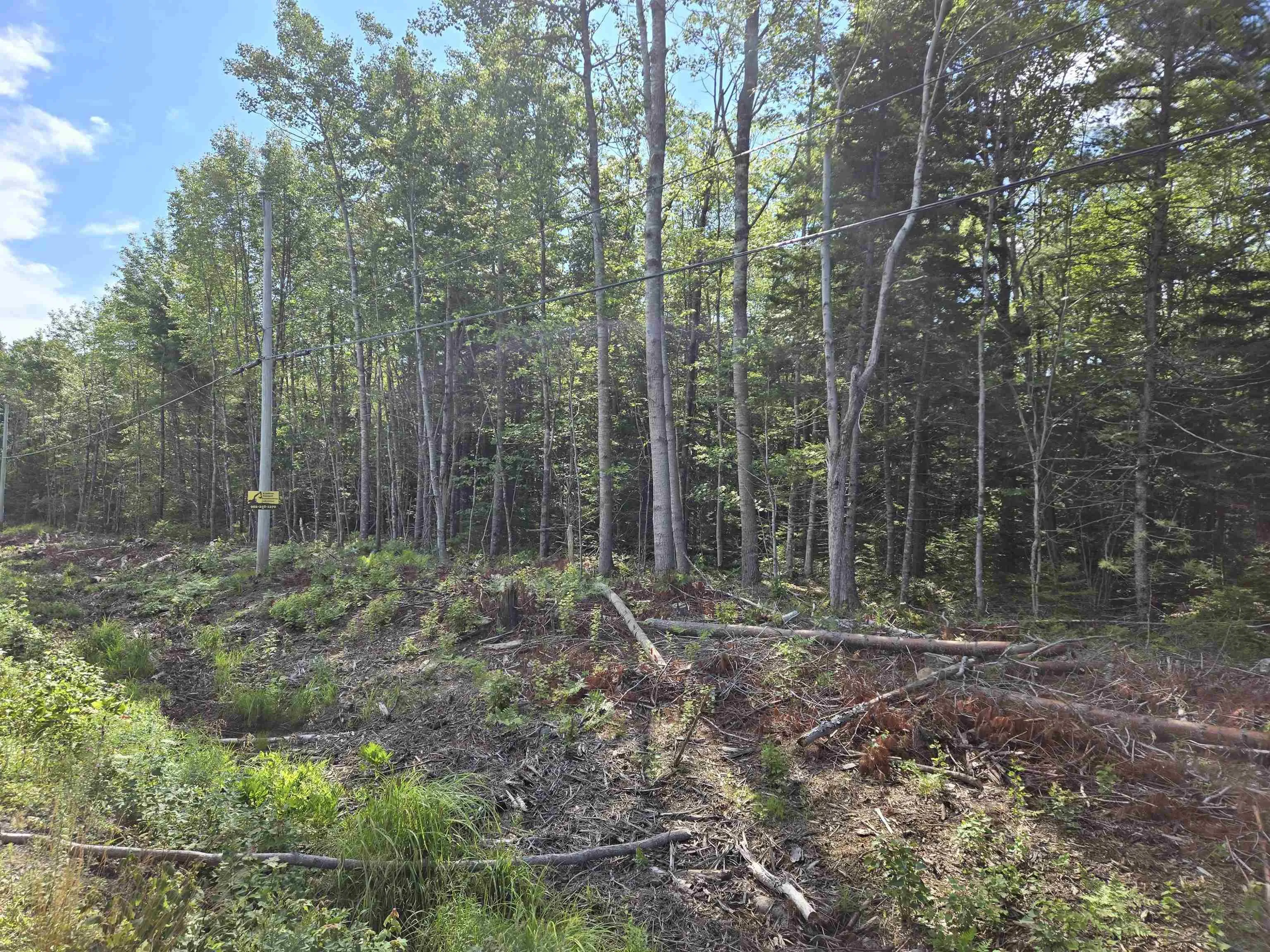 Conquerall Road Lot 1, Conquerall Bank Ns B4v 0j6, ,Land,For Sale,Conquerall,202419315