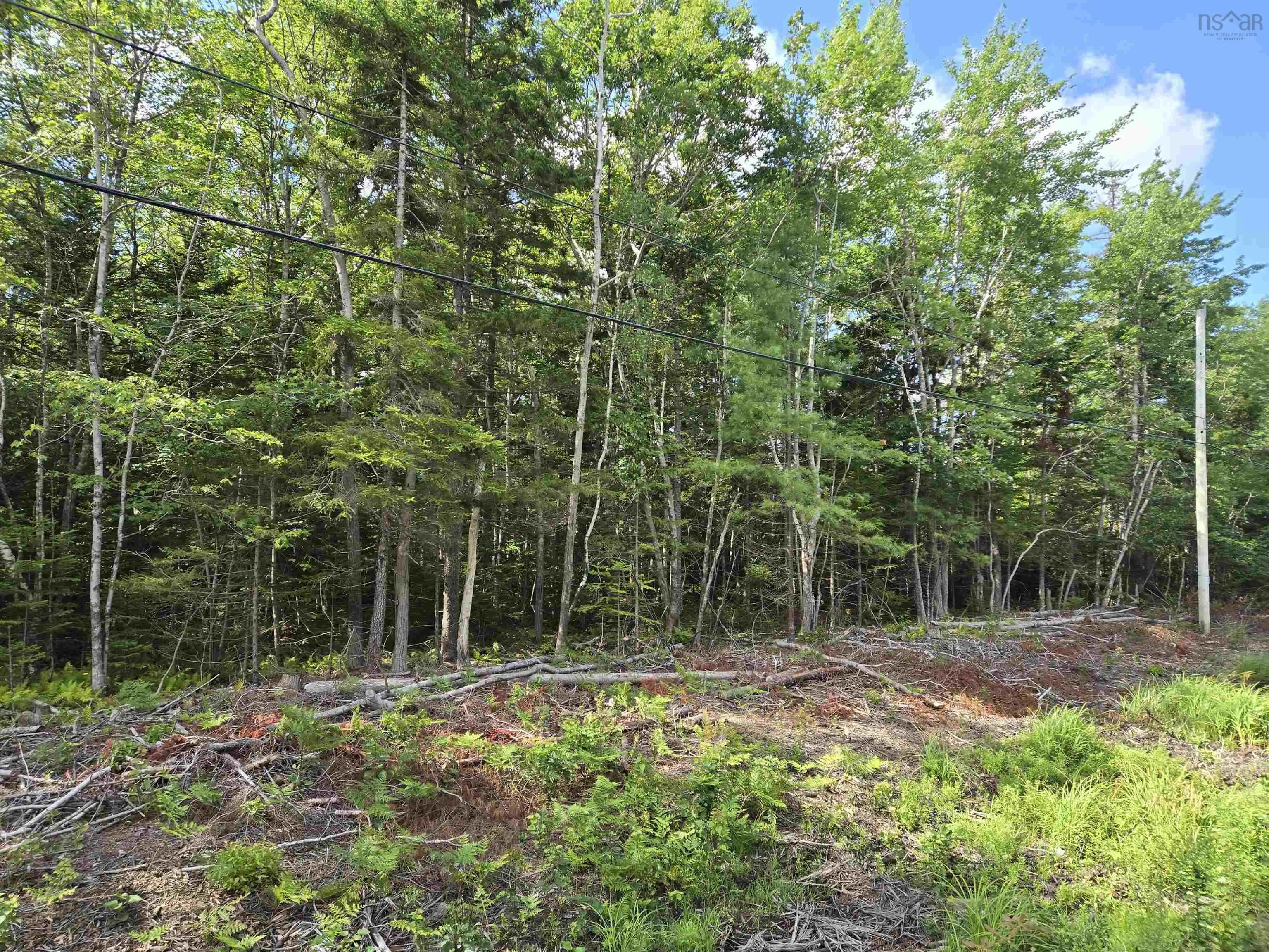 Conquerall Road Lot 1, Conquerall Bank Ns B4v 0j6, ,Land,For Sale,Conquerall,202419315