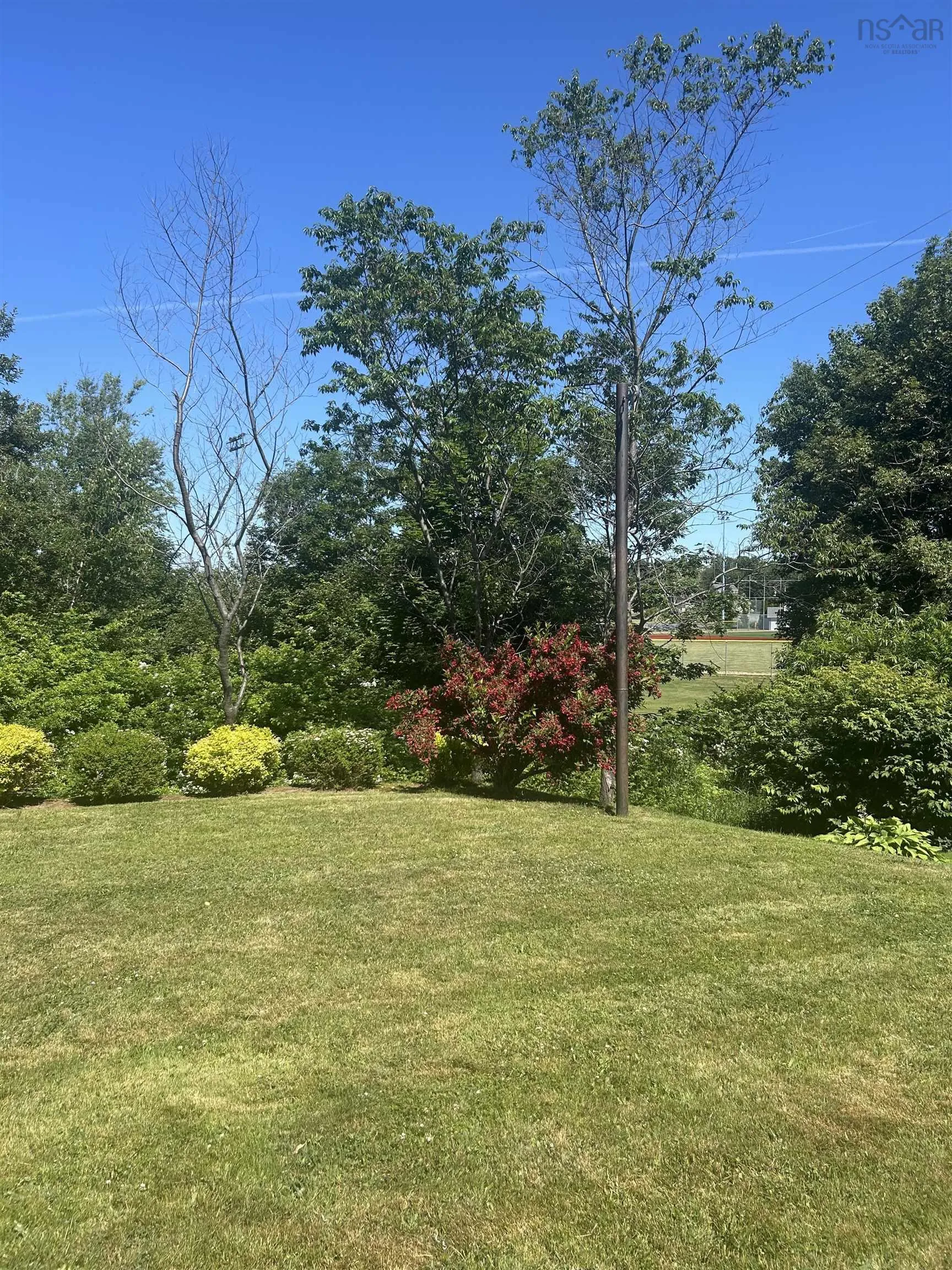 183 Harold Street, Sydney, NS B1P 3M6, 2 Bedrooms Bedrooms, ,1 BathroomBathrooms,Residential,For Sale,Harold,202517618