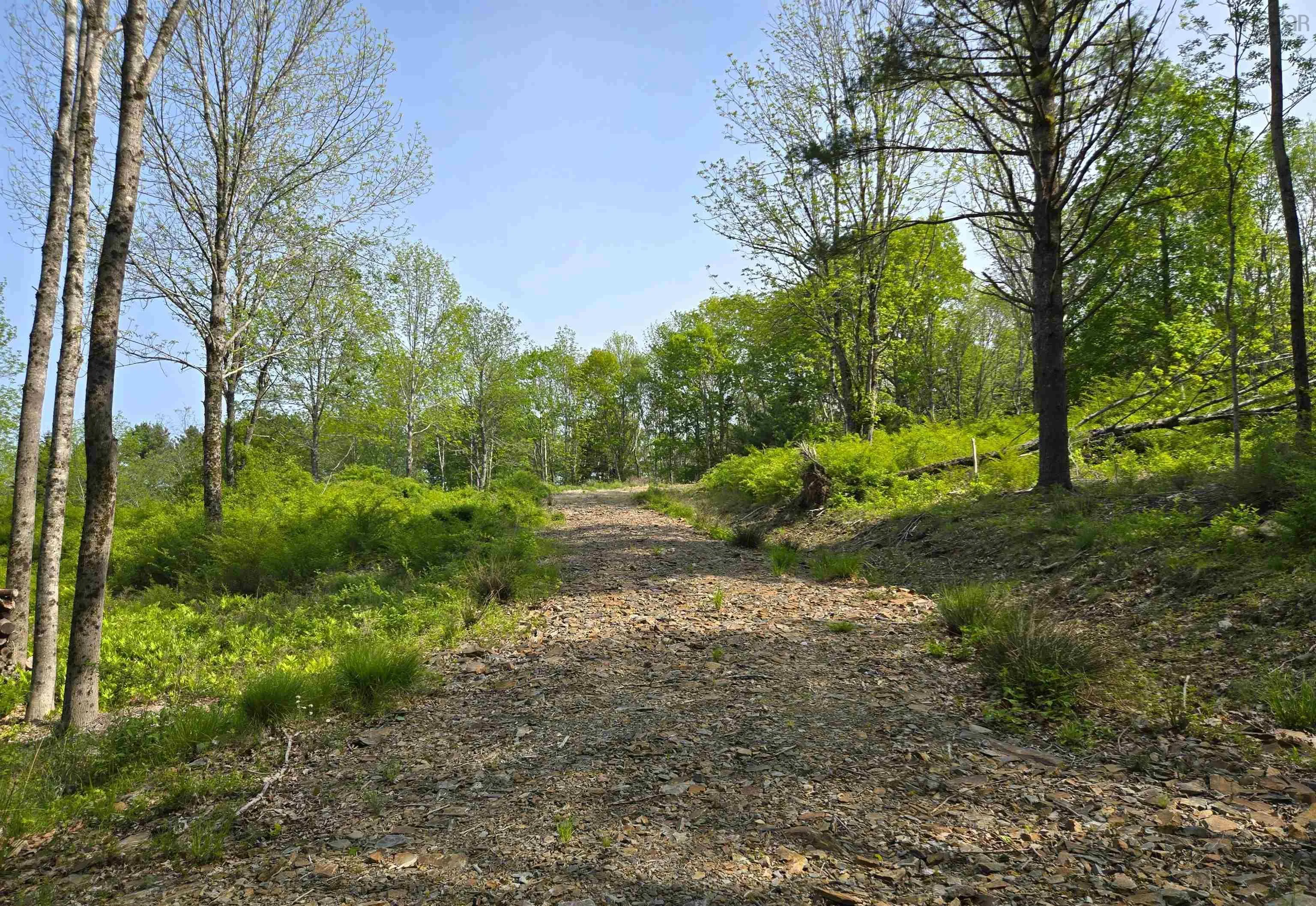 Lot 3 Highway, Maders Cove, NS B0J 2E0, ,Land,For Sale,3,202513182