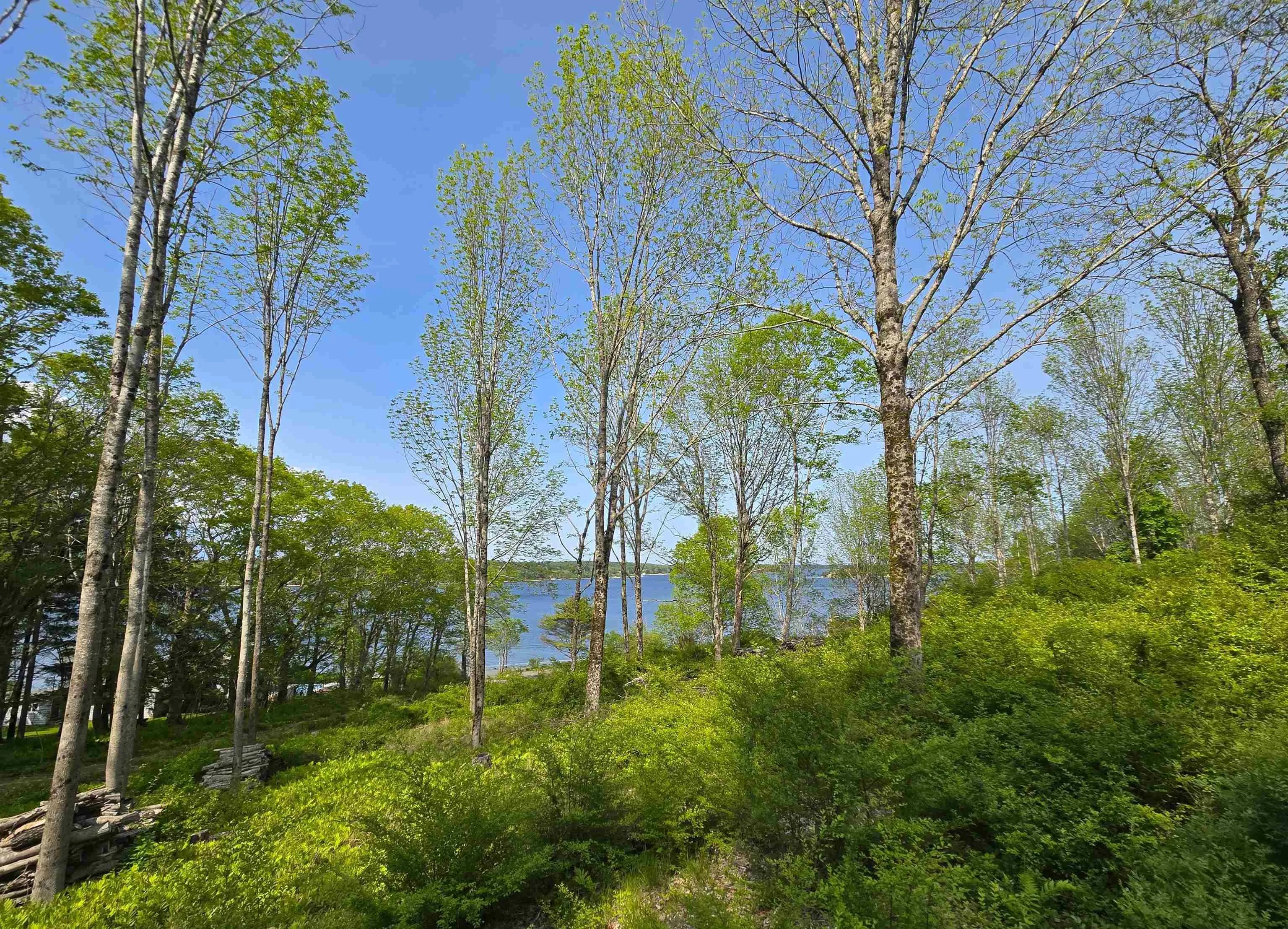 Lot 3 Highway, Maders Cove, NS B0J 2E0, ,Land,For Sale,3,202513182