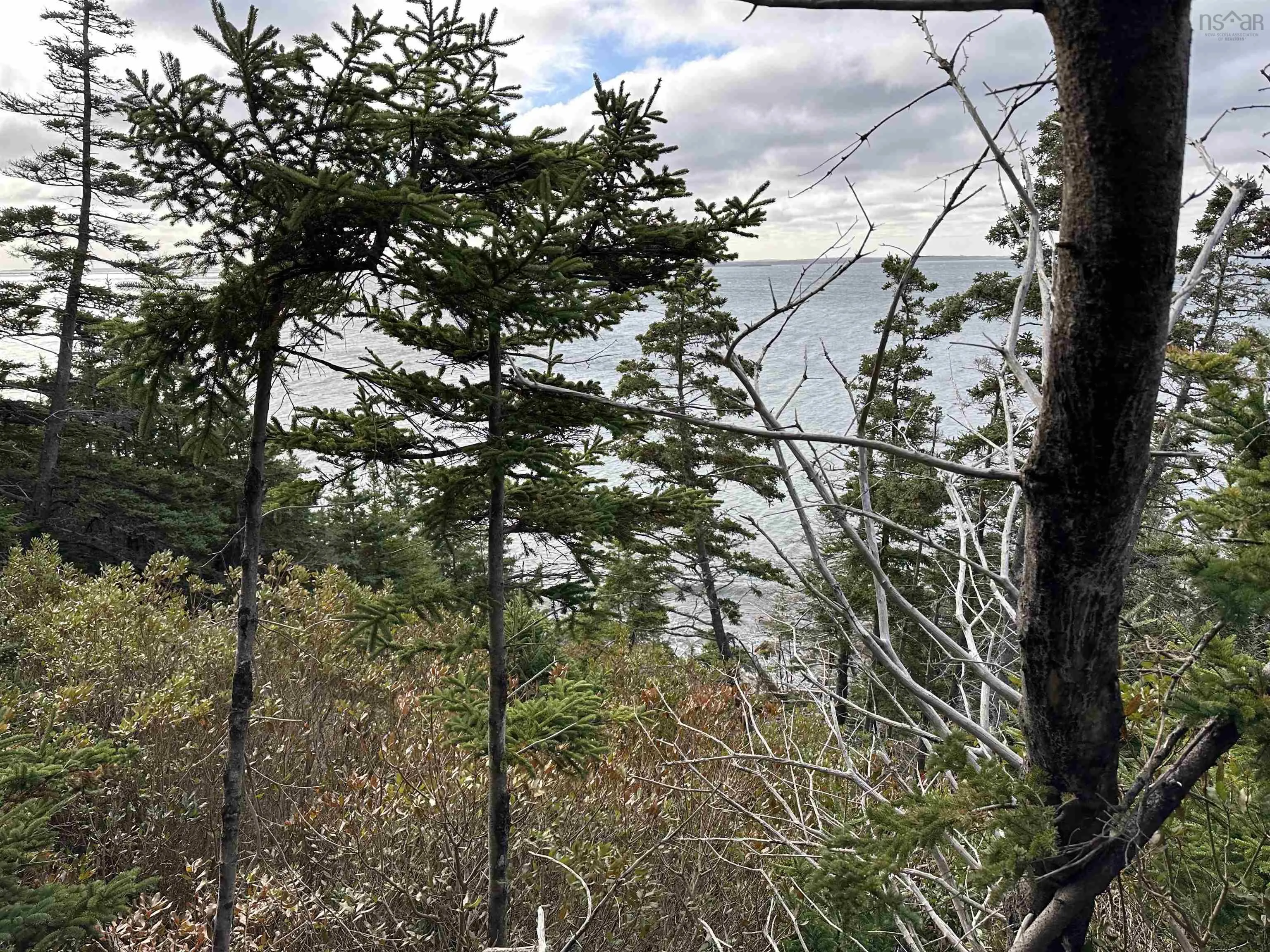 183 Big Tancook Island Road, Big Tancook Island, NS B0J 3G0, 5 Bedrooms Bedrooms, ,1 BathroomBathrooms,Residential,For Sale,Big Tancook Island,202513366