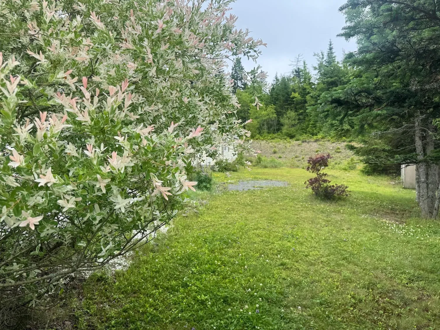 24 Empire Loop, Truro, NS B2N 7B5, 2 Bedrooms Bedrooms, ,2 BathroomsBathrooms,Residential,For Sale,Empire,202512882