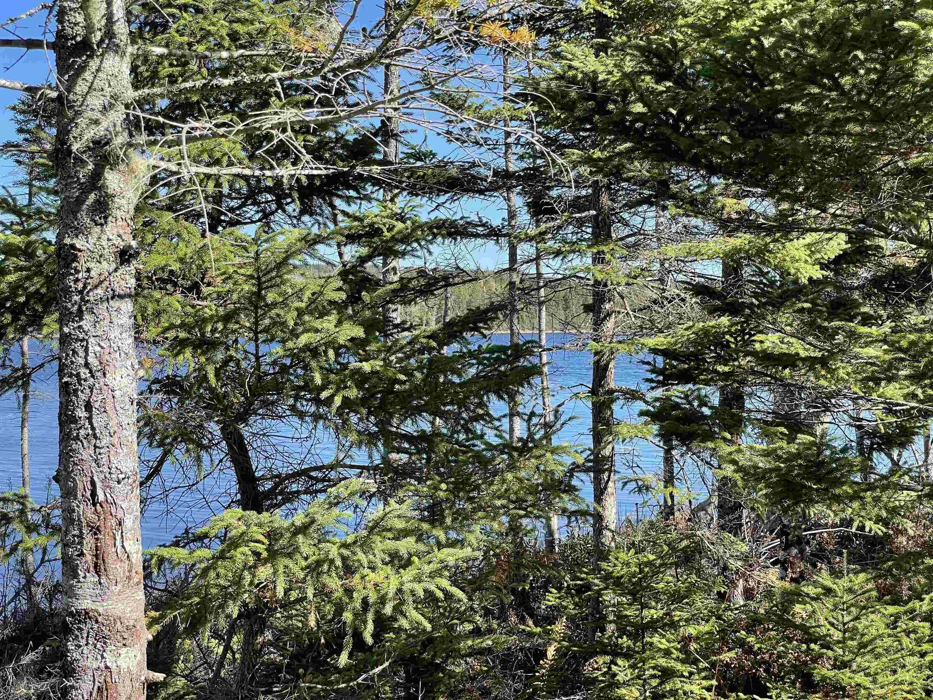 47 Pia Kaestner Lane, Macnabs Cove Ns B0e 3b0, 2 Bedrooms Bedrooms, ,1 BathroomBathrooms,Residential,For Sale,Pia Kaestner,202223977