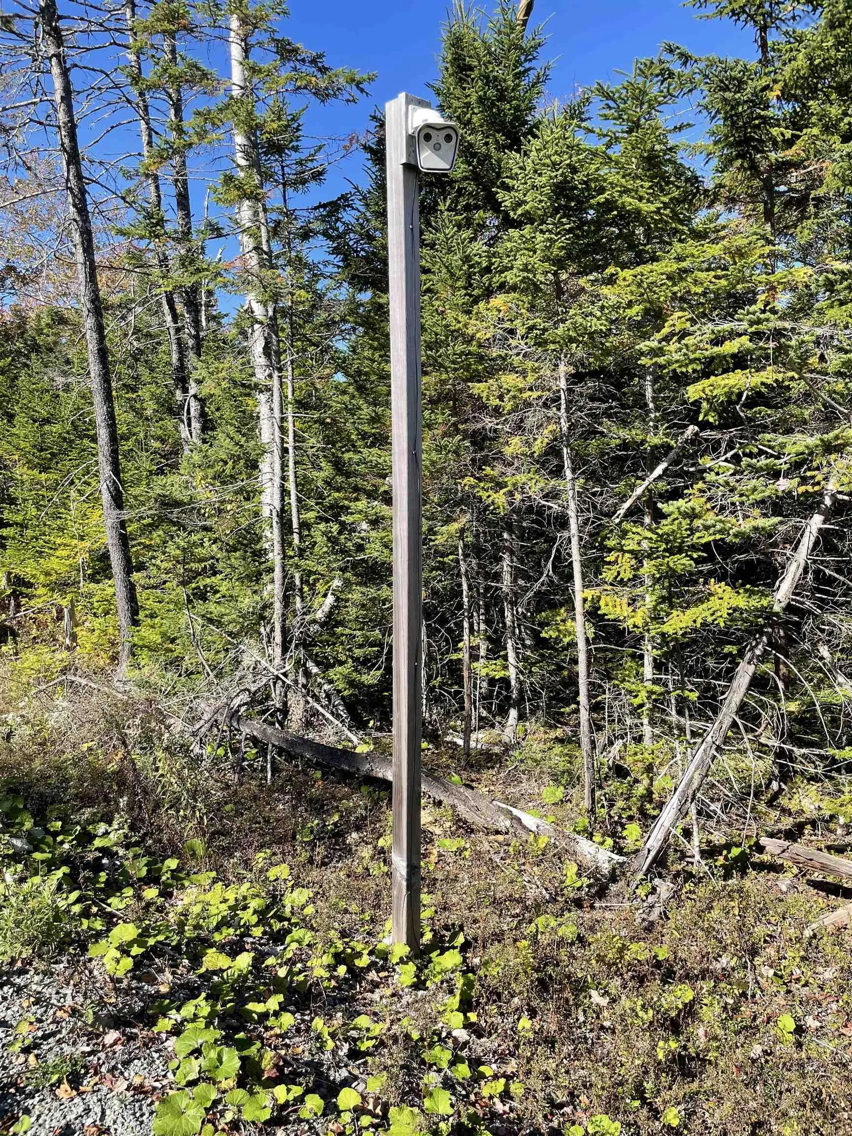 47 Pia Kaestner Lane, Macnabs Cove Ns B0e 3b0, 2 Bedrooms Bedrooms, ,1 BathroomBathrooms,Residential,For Sale,Pia Kaestner,202223977