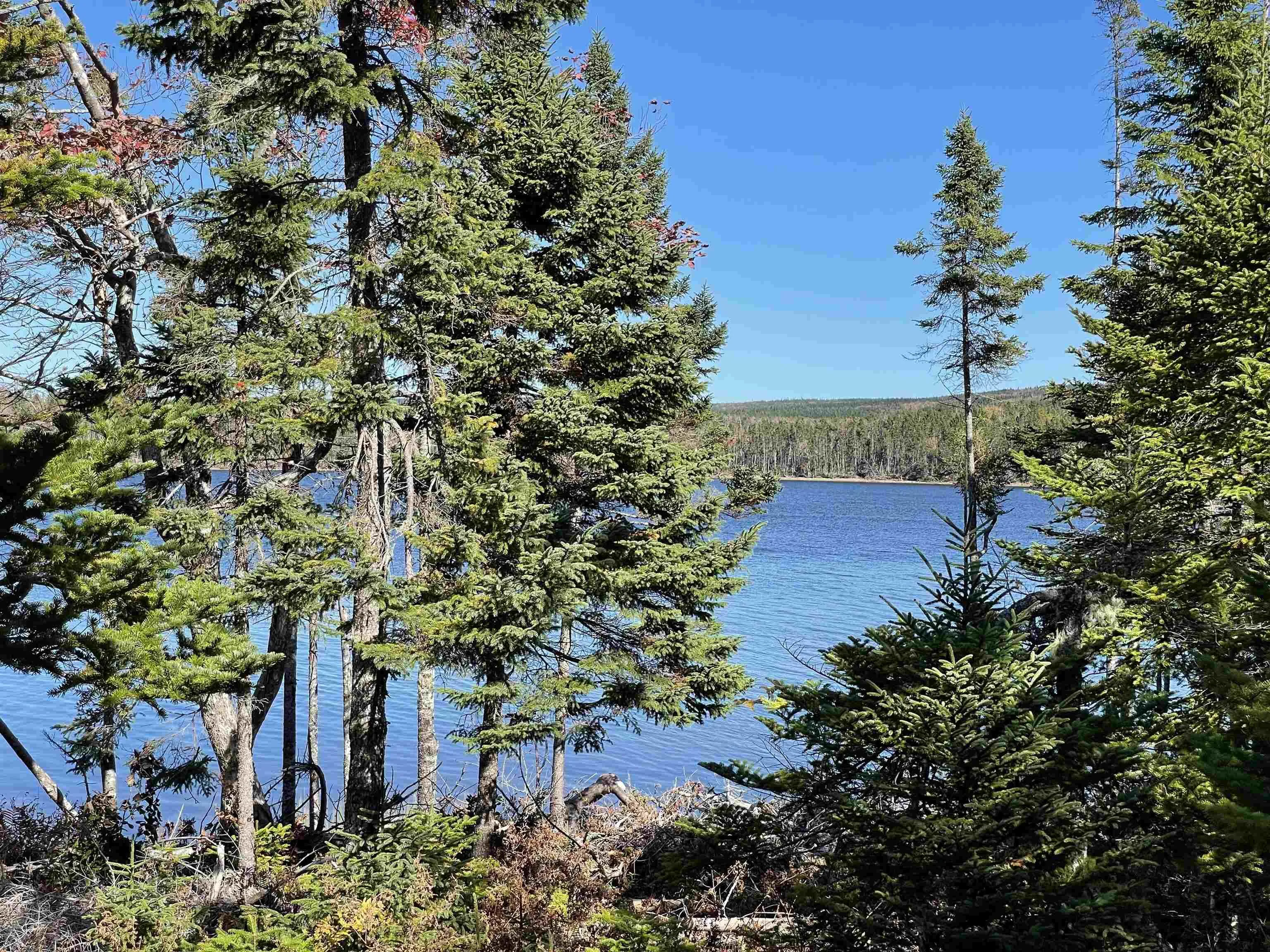 47 Pia Kaestner Lane, Macnabs Cove Ns B0e 3b0, 2 Bedrooms Bedrooms, ,1 BathroomBathrooms,Residential,For Sale,Pia Kaestner,202223977