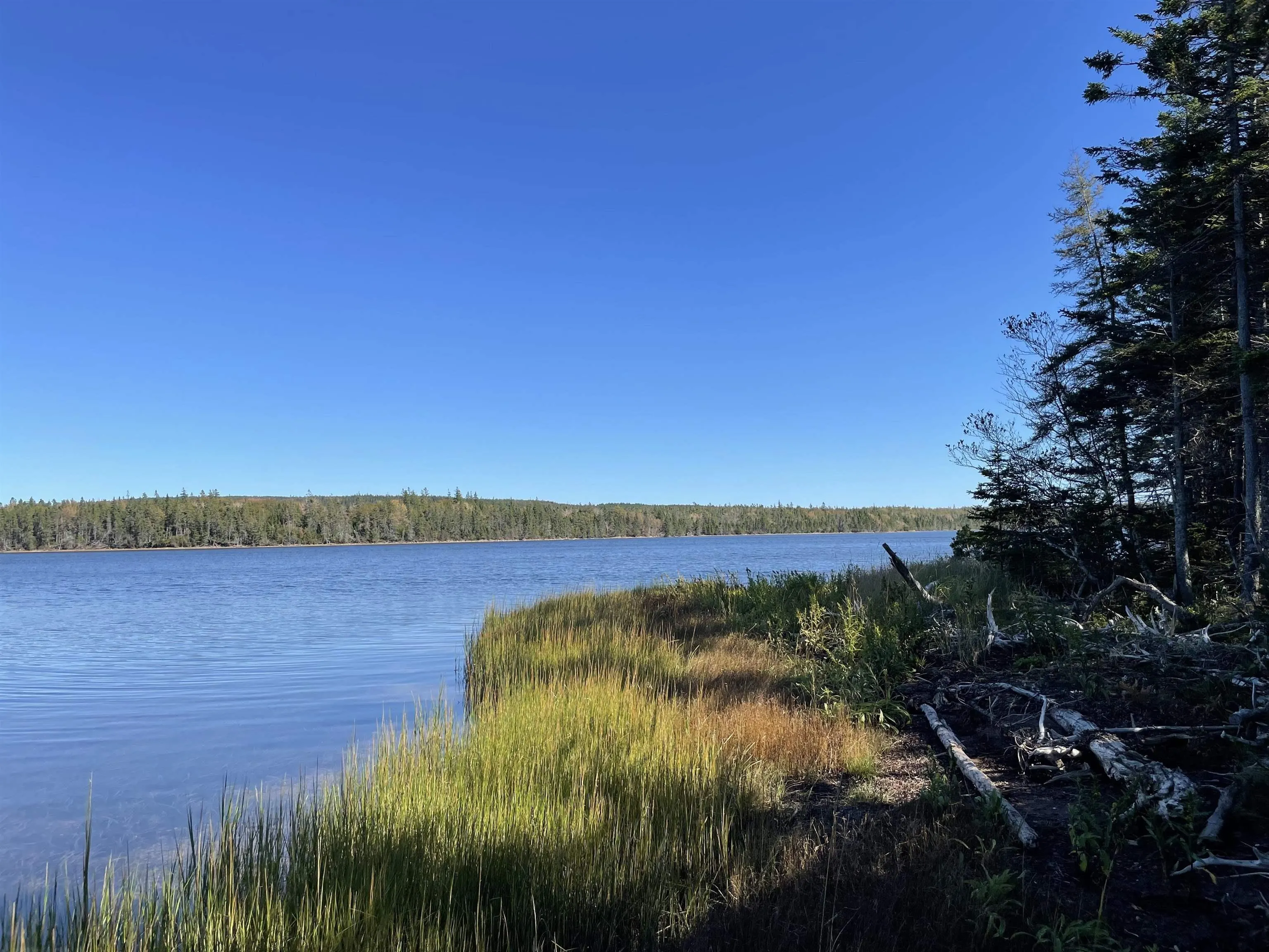 47 Pia Kaestner Lane, Macnabs Cove Ns B0e 3b0, 2 Bedrooms Bedrooms, ,1 BathroomBathrooms,Residential,For Sale,Pia Kaestner,202223977