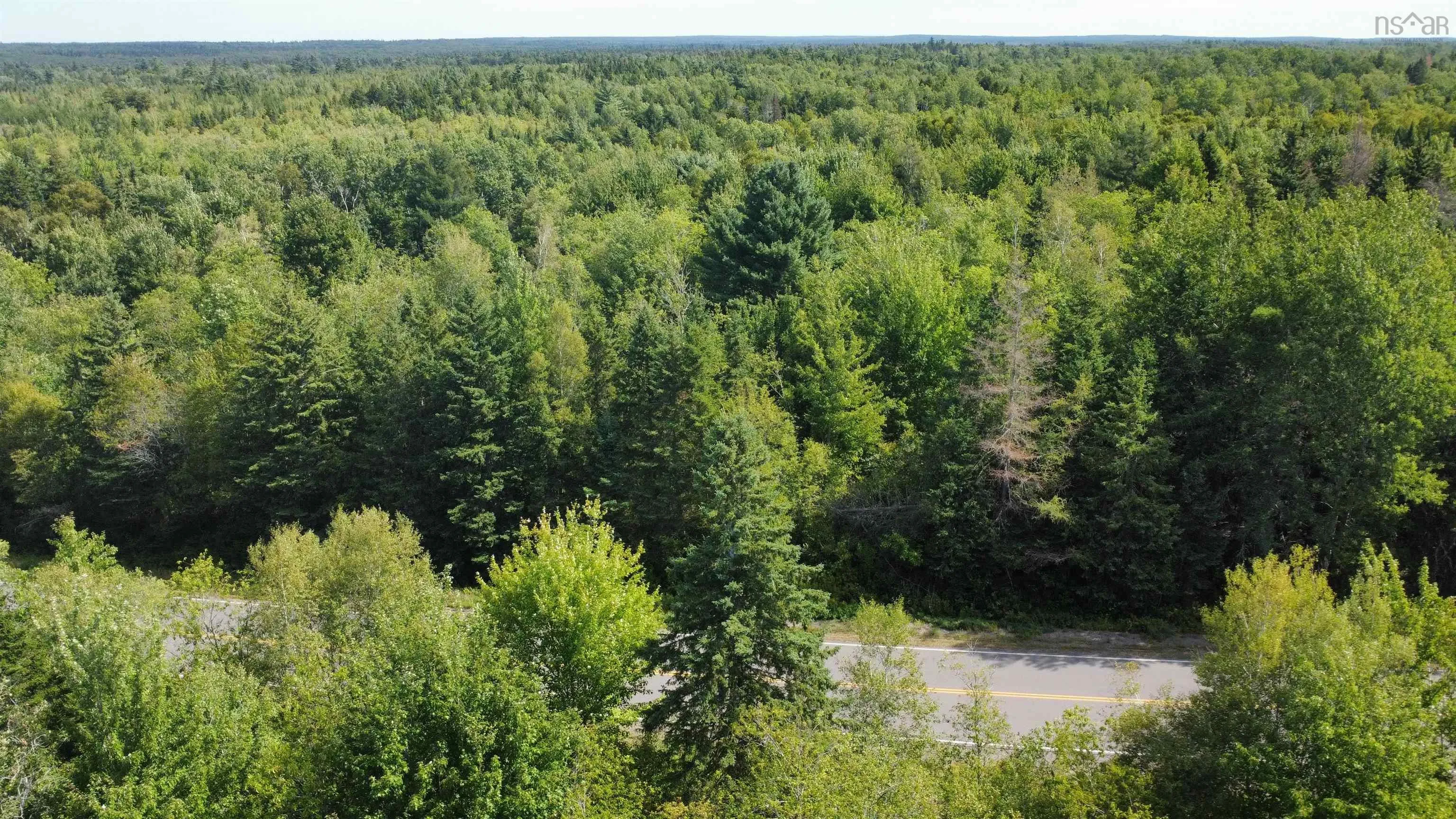 25-1 #368 Highway, Wentworth, NS B0M 1Z0, ,Land,For Sale,Highway #368,202521733
