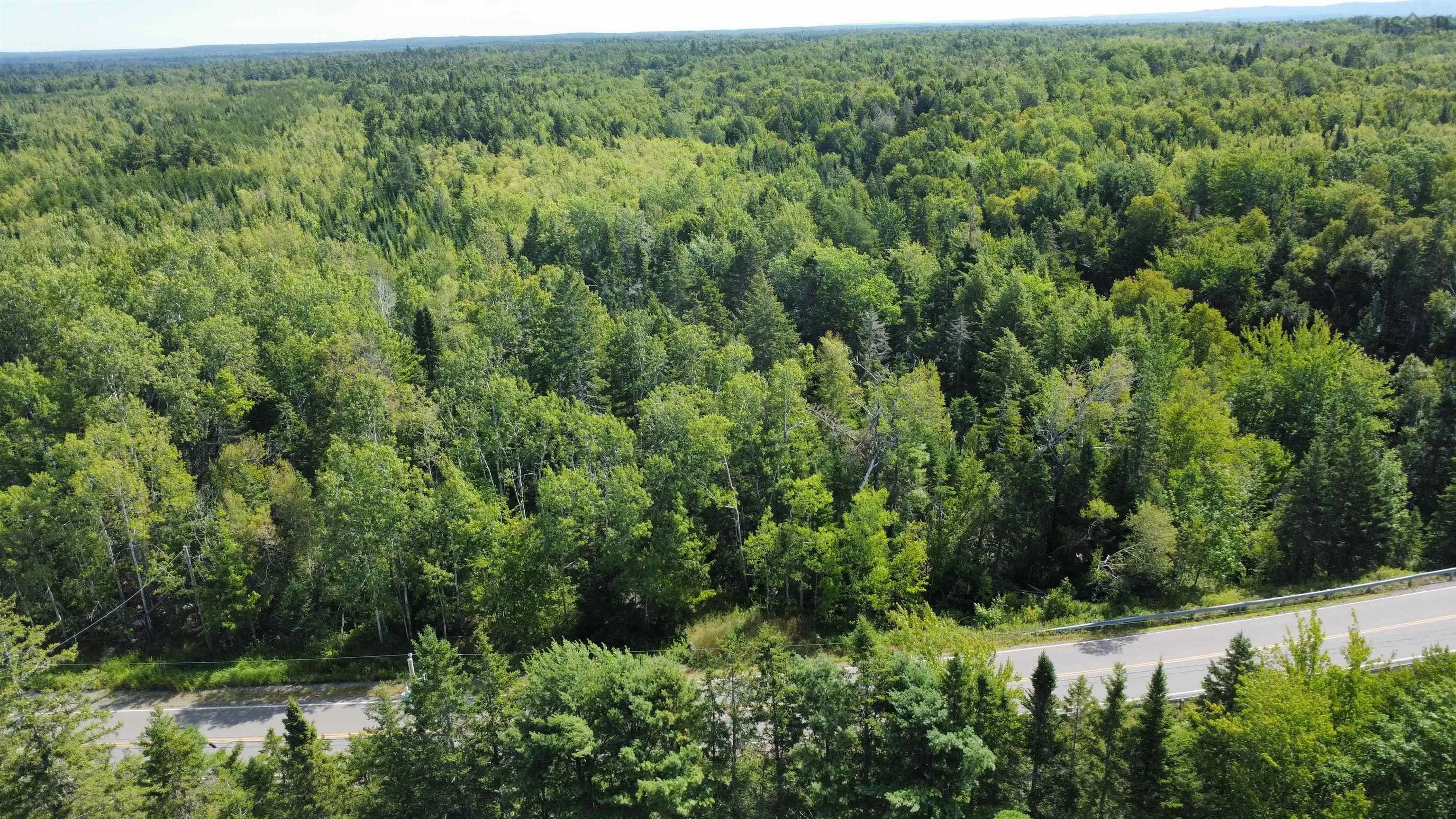 25-1 #368 Highway, Wentworth, NS B0M 1Z0, ,Land,For Sale,Highway #368,202521733